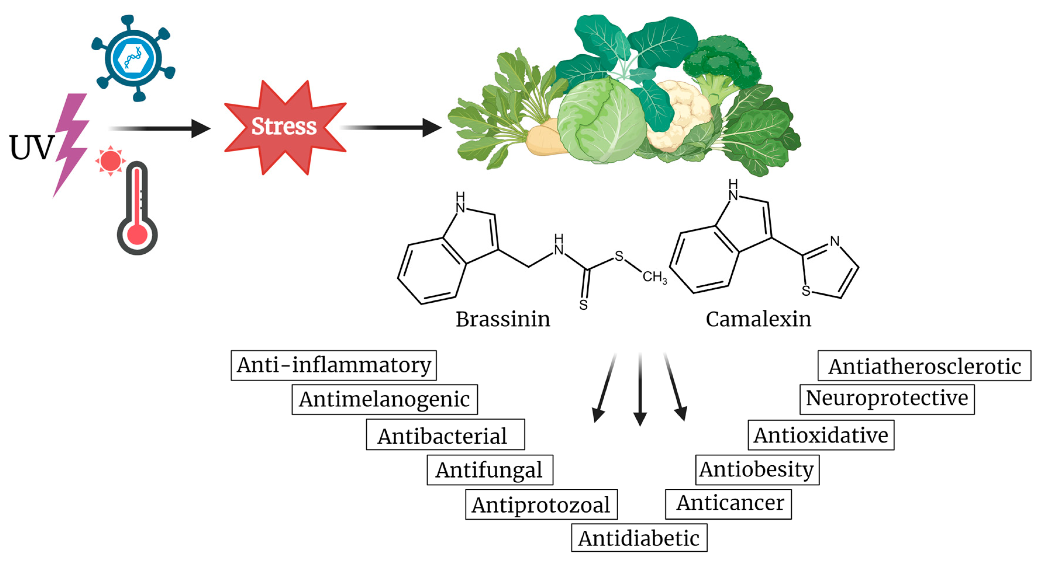 Molecules 29 02388 g001 Molecules 29 02388 g001