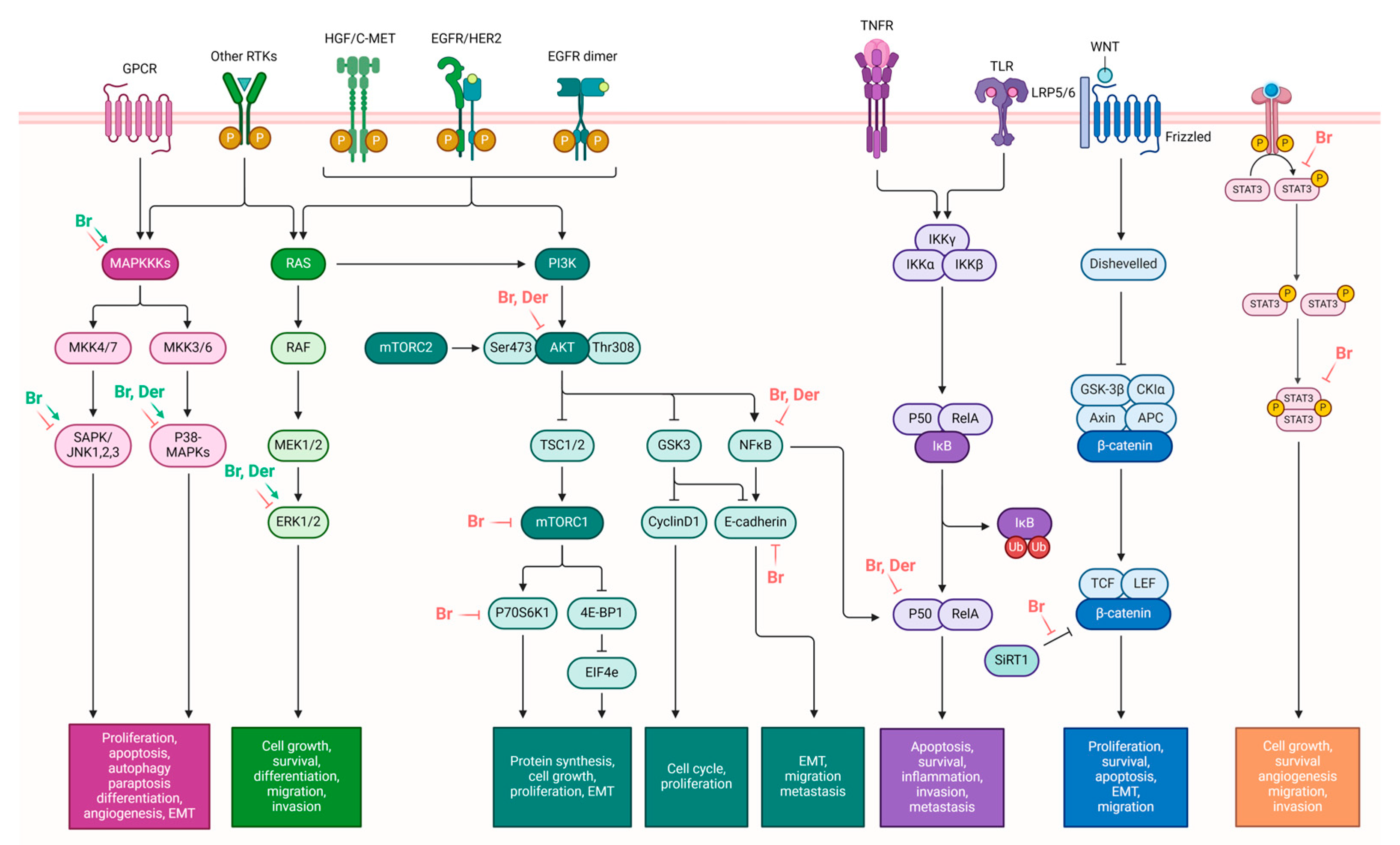 Molecules 29 02388 g004 Molecules 29 02388 g004