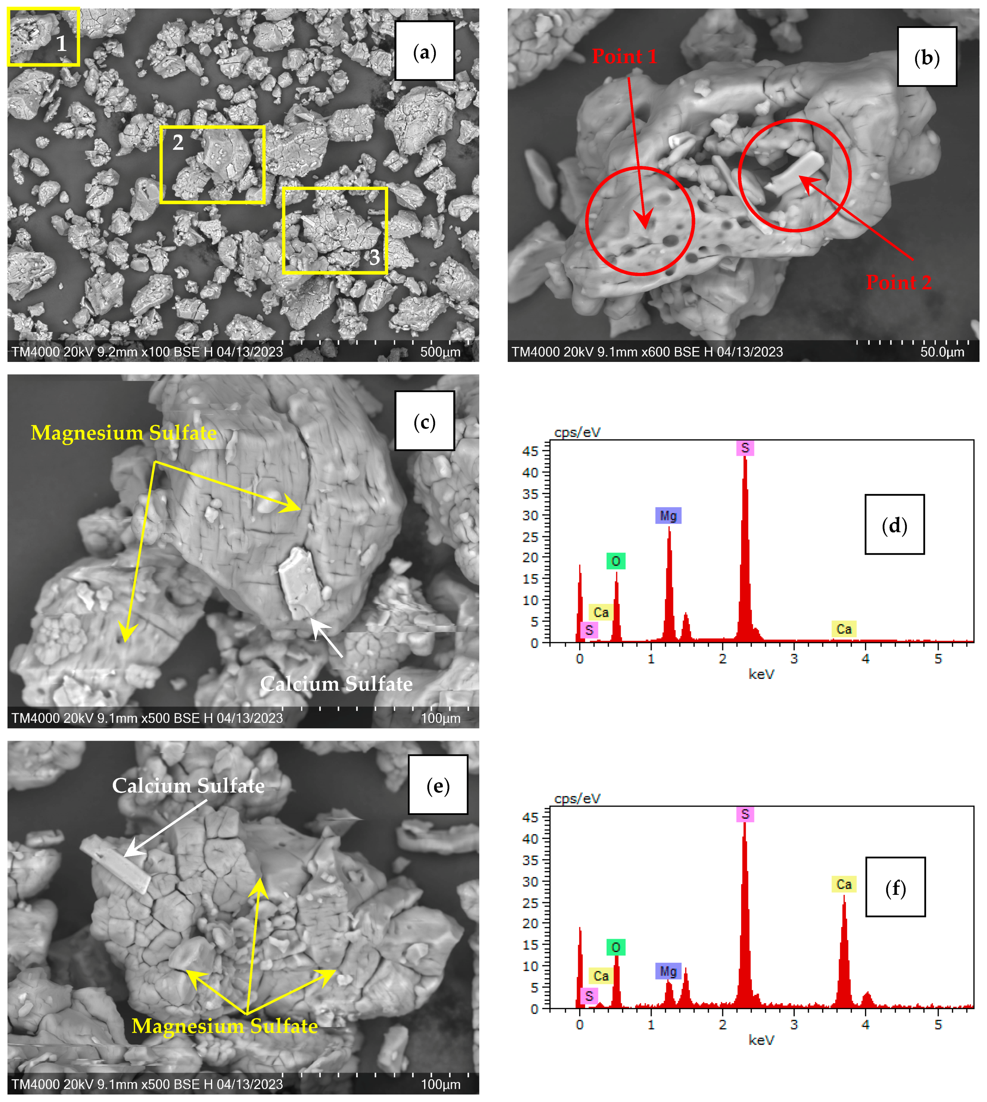 Molecules 29 02391 g002