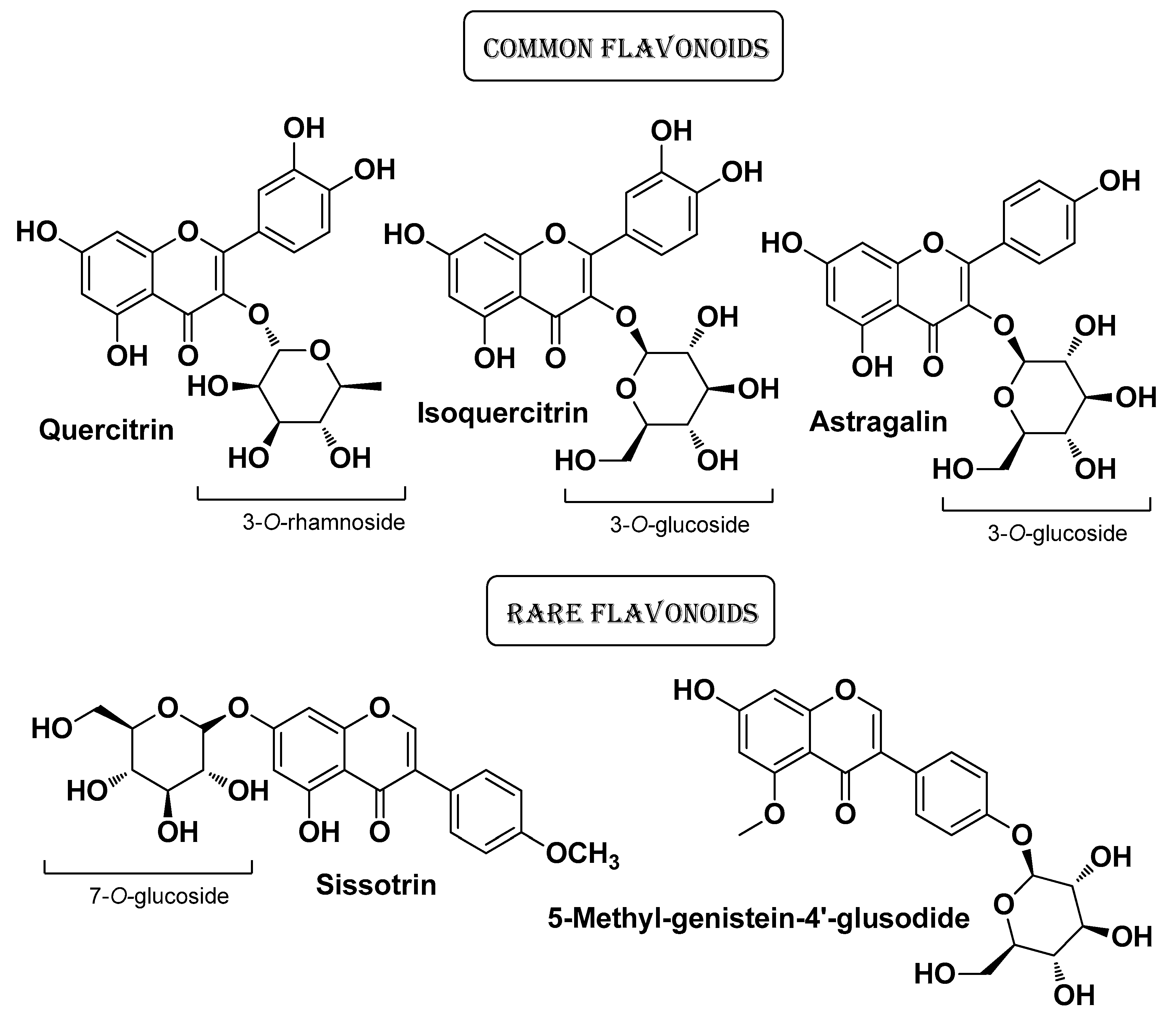 Molecules 29 02394 g010