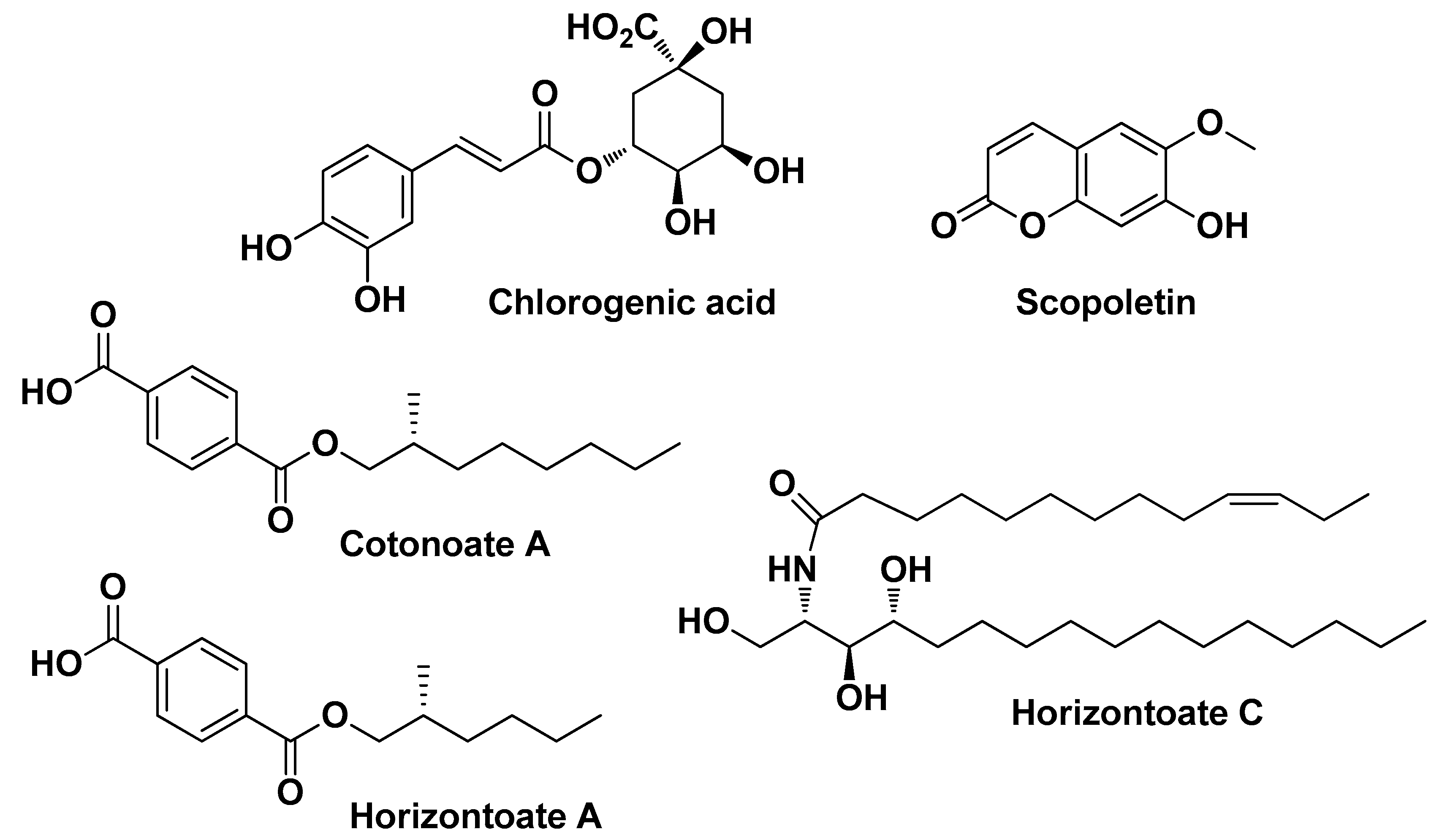 Molecules 29 02394 g011