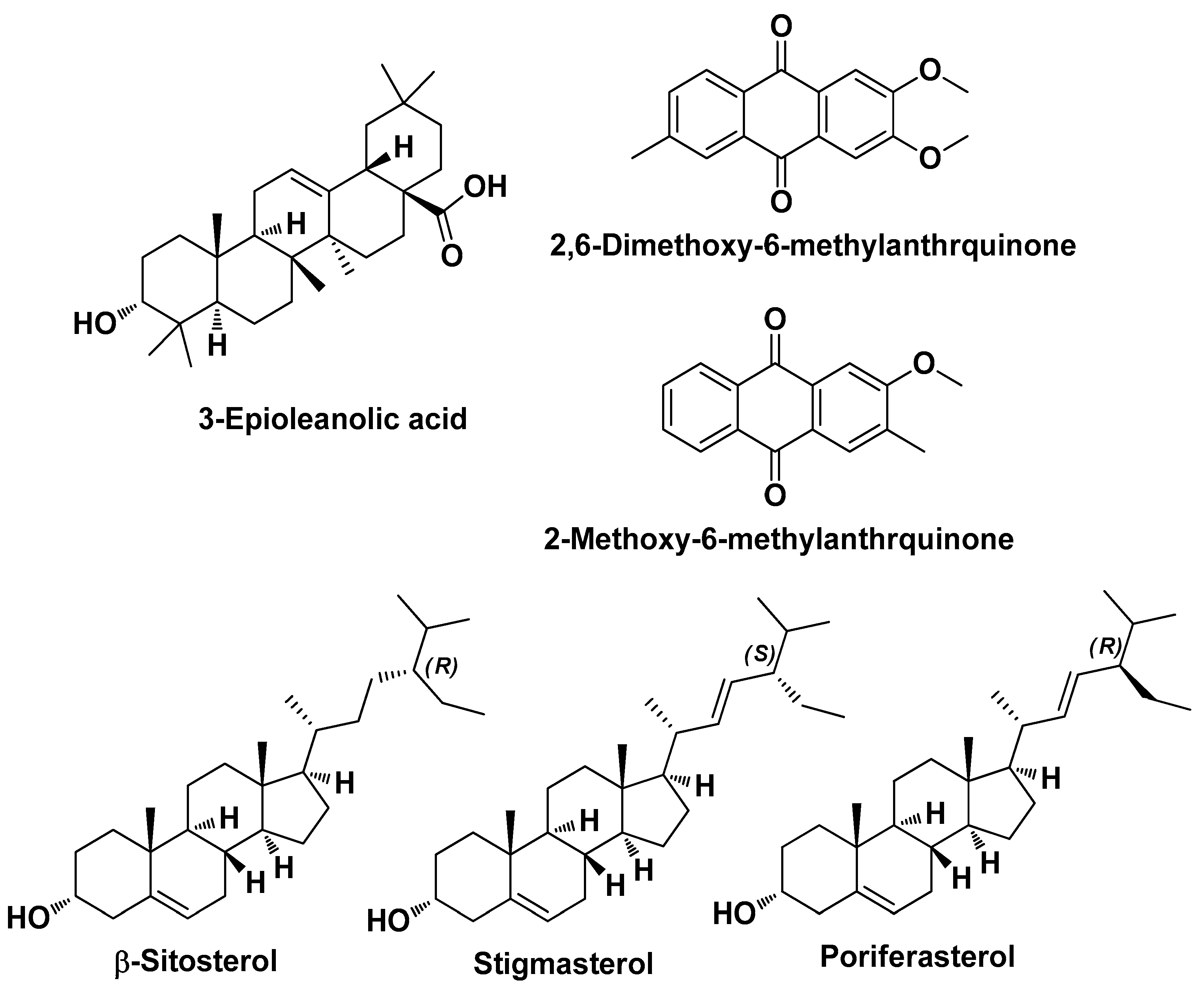 Molecules 29 02394 g019