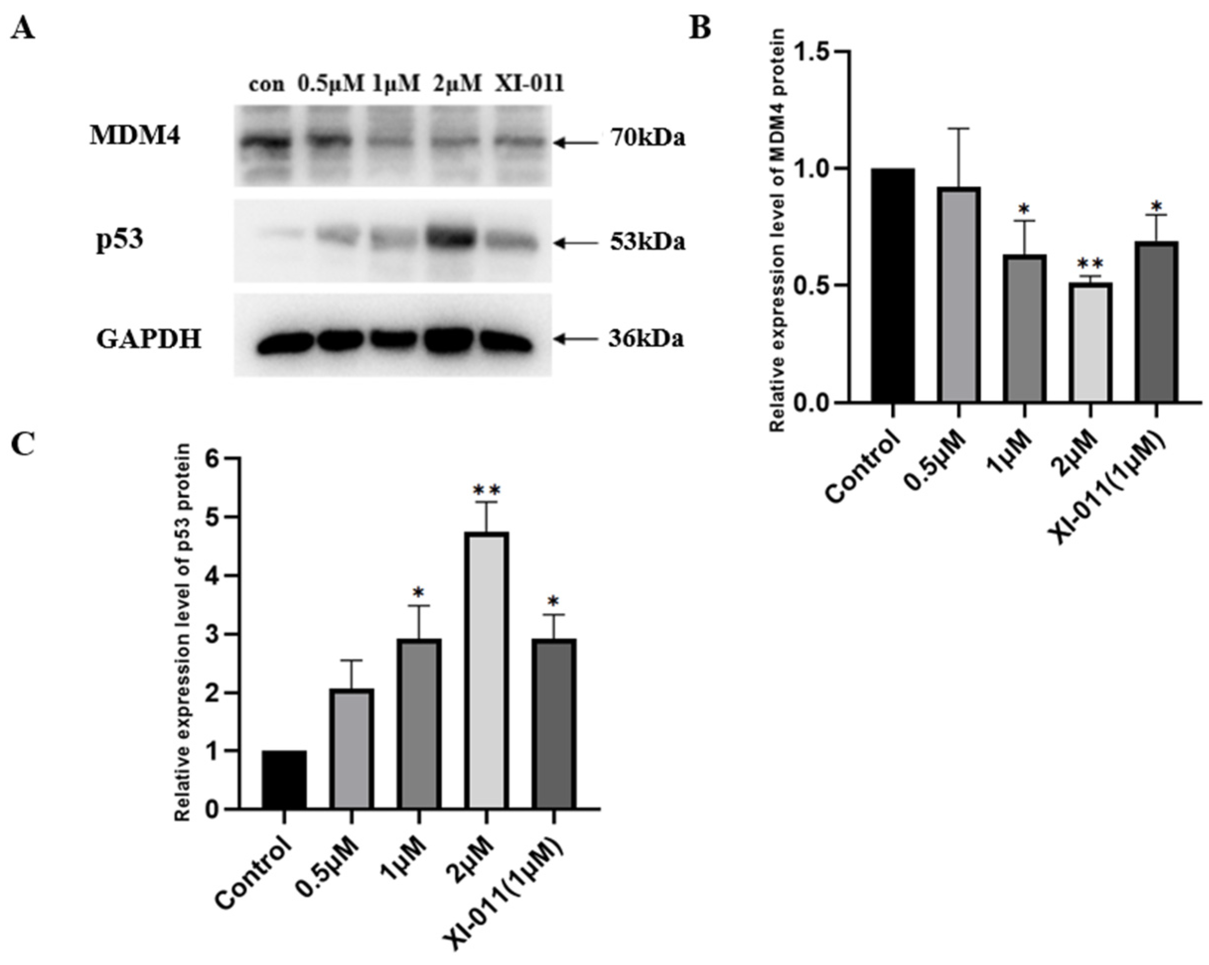 Molecules 29 02396 g002