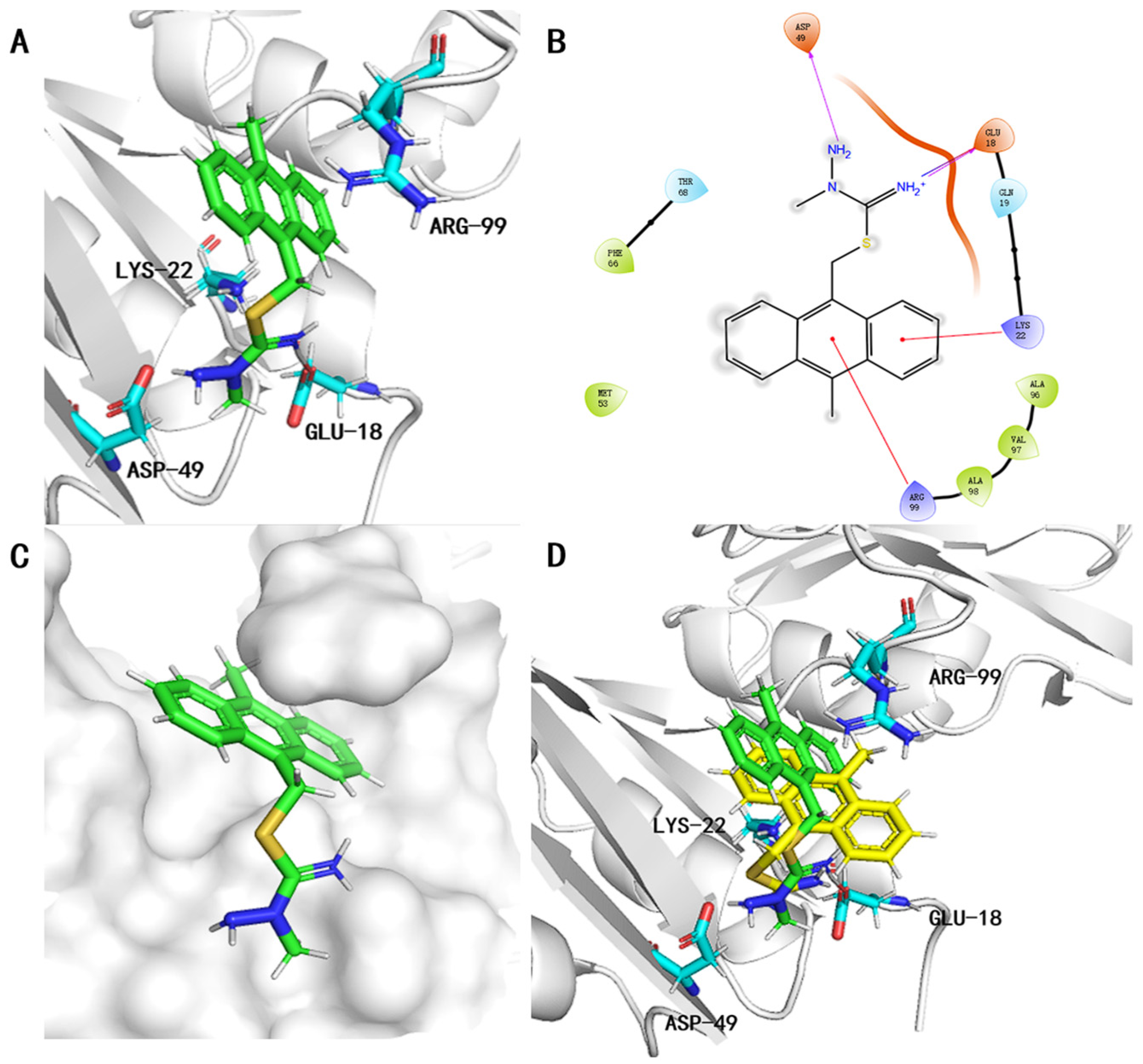 Molecules 29 02396 g005