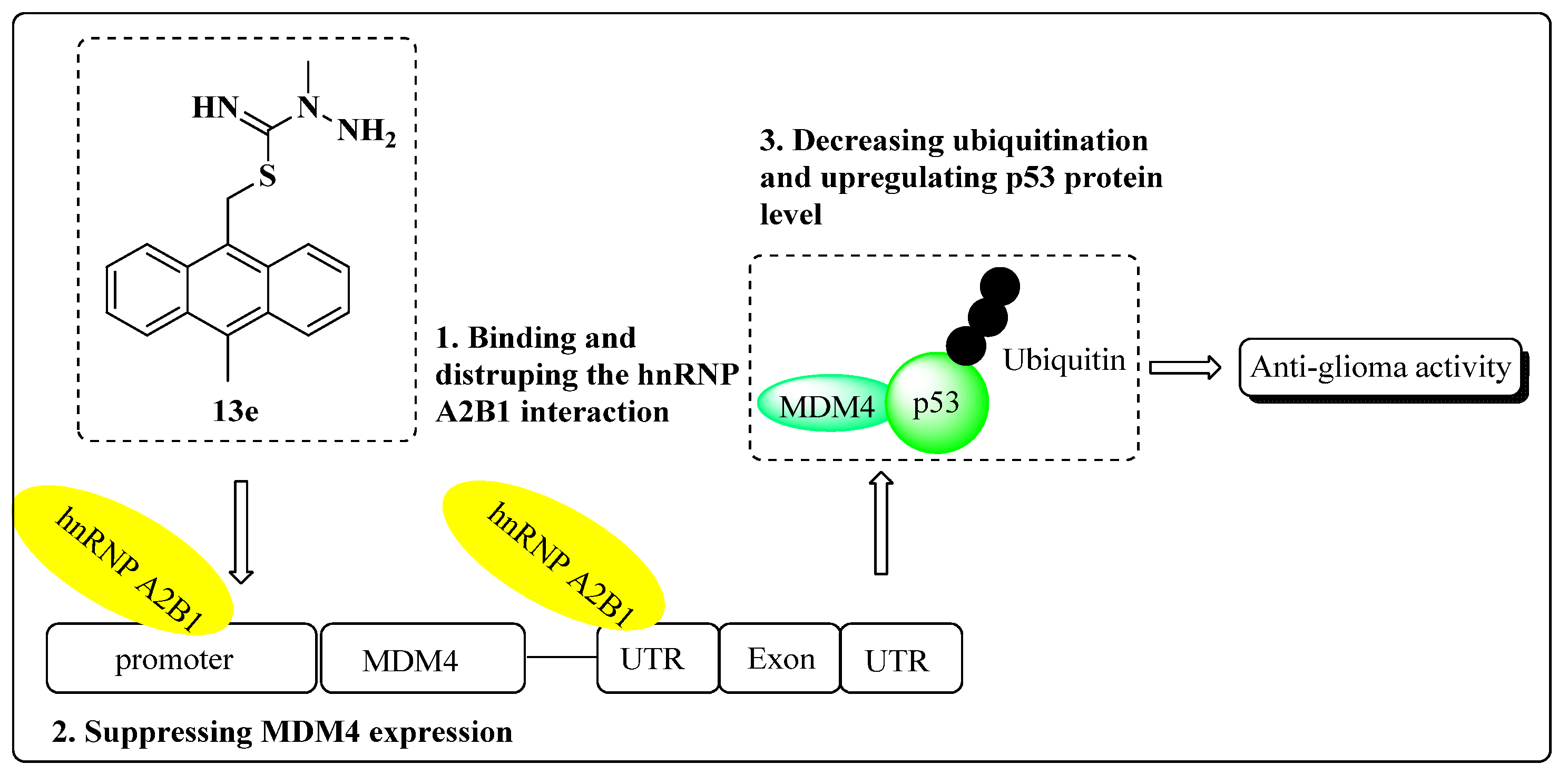 Molecules 29 02396 g006
