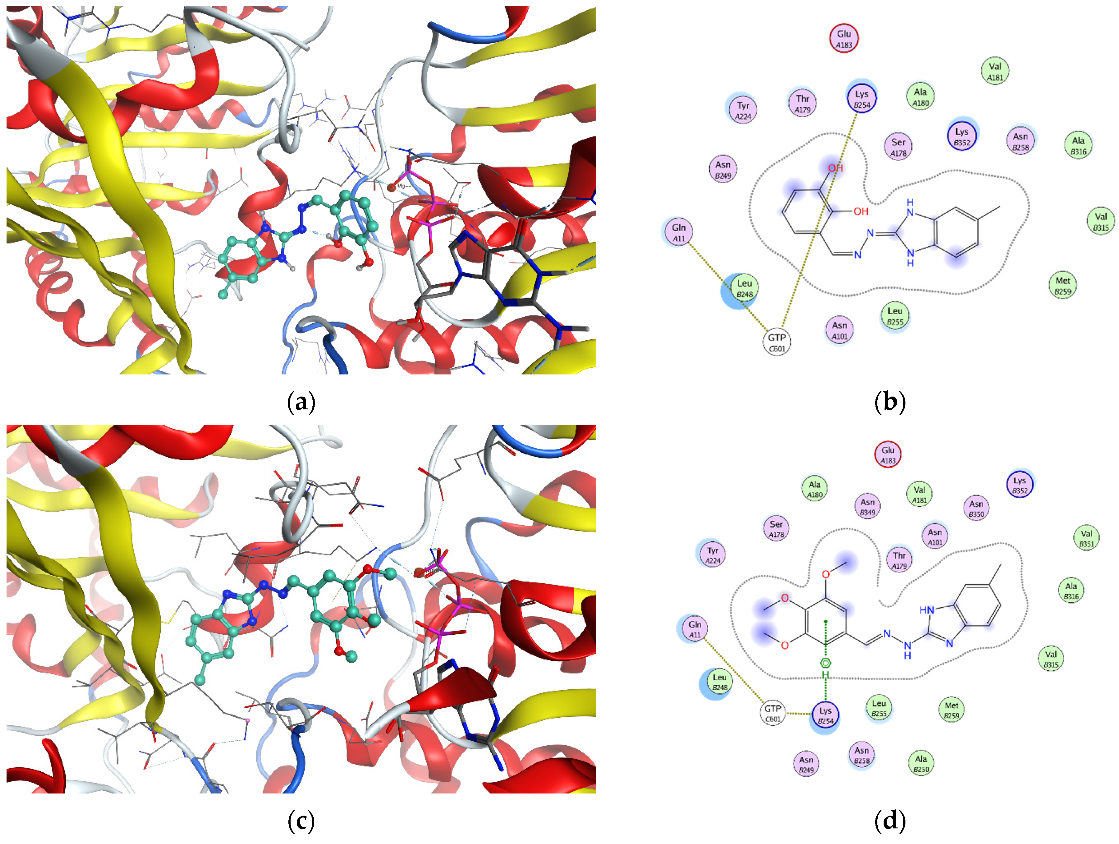 Molecules 29 02400 g003 Molecules 29 02400 g003