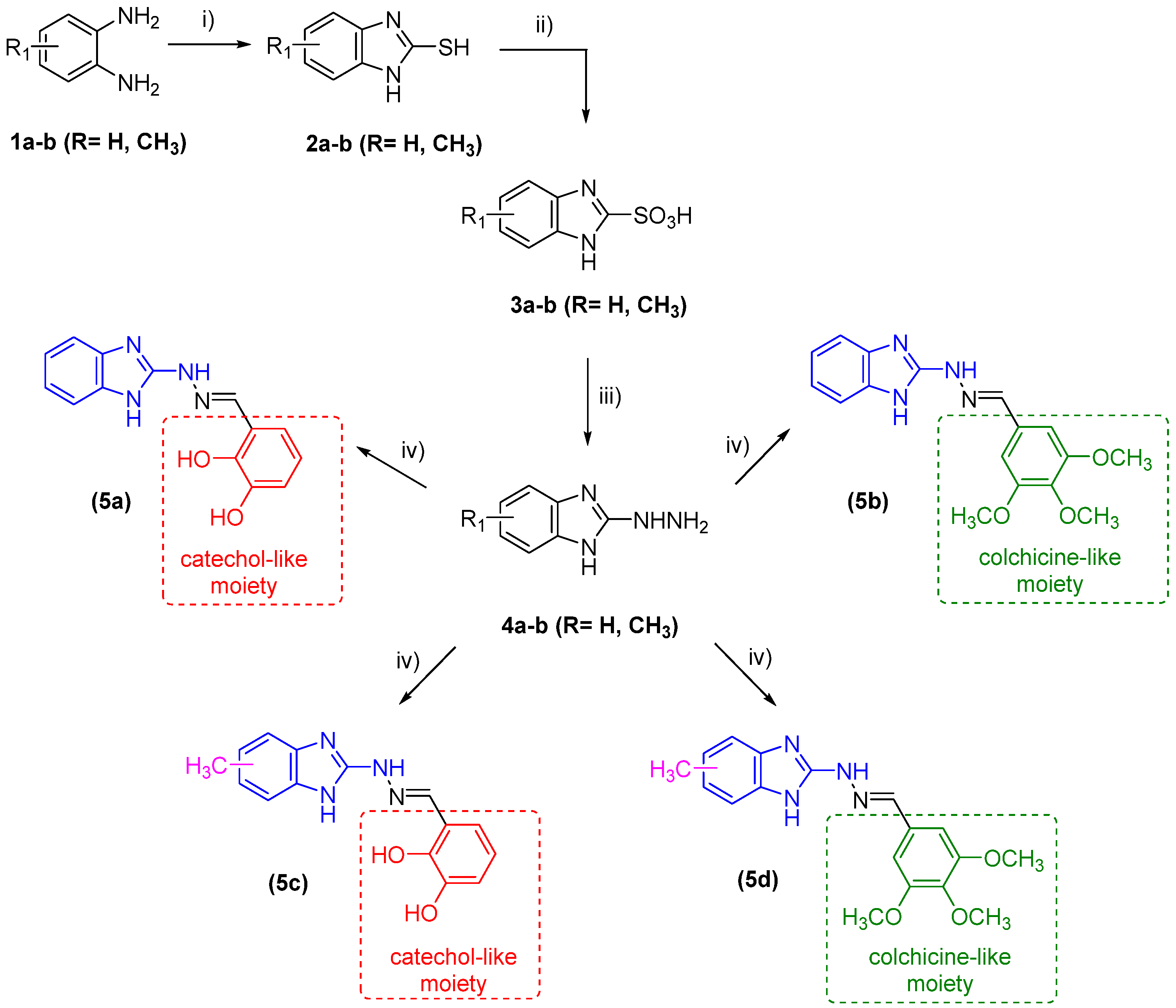 Molecules 29 02400 sch001 Molecules 29 02400 sch001