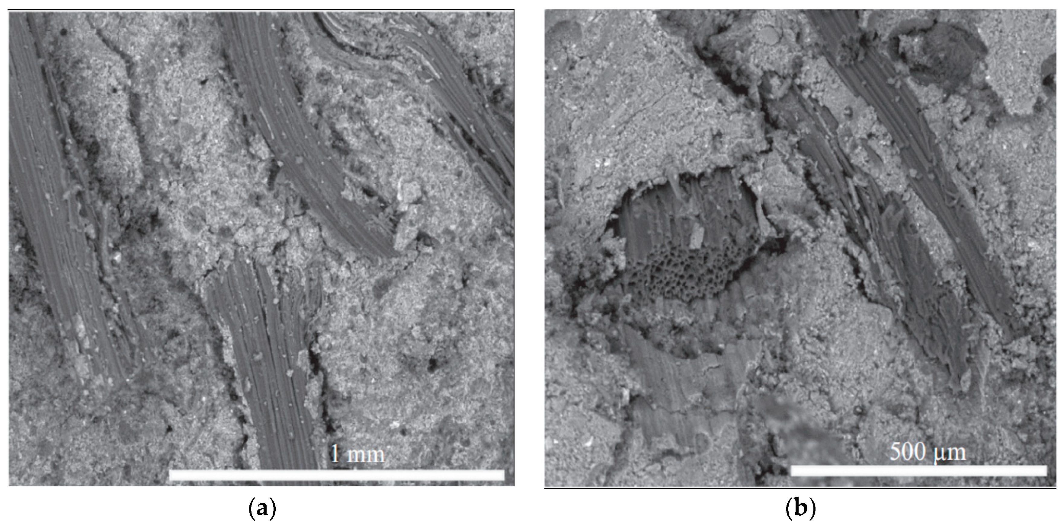 Molecules 29 02401 g004