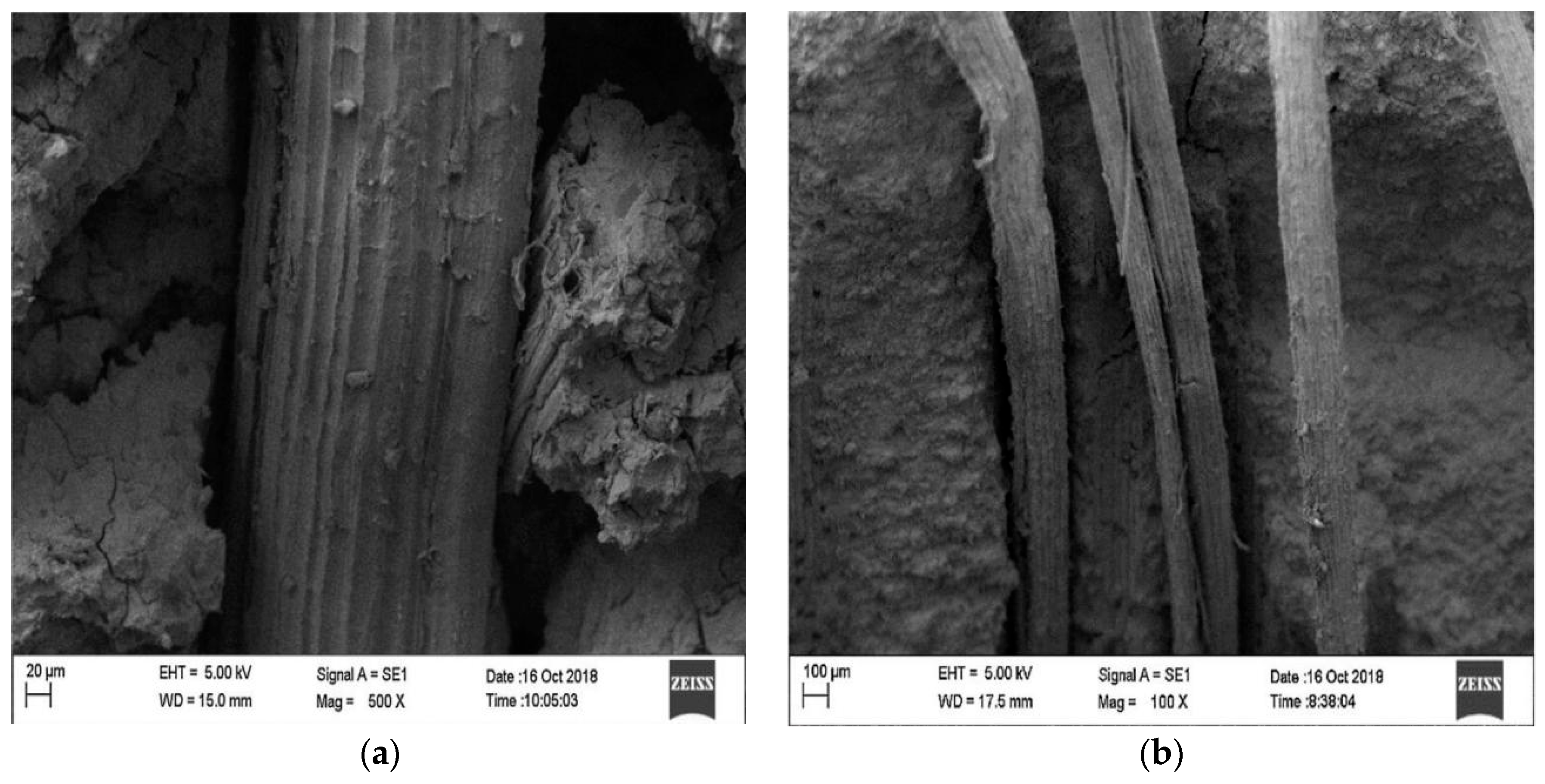 Molecules 29 02401 g005