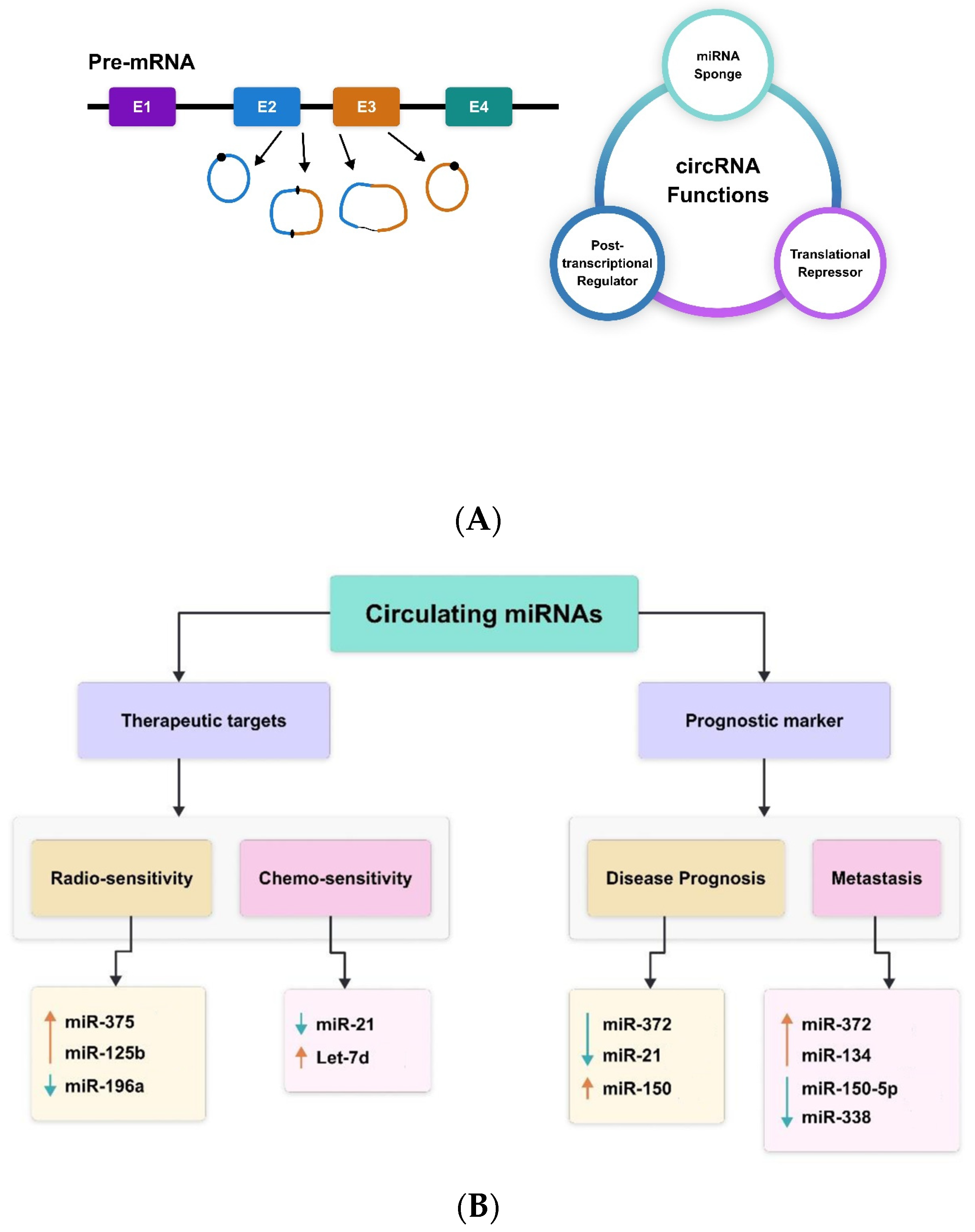 Molecules 29 02402 g001