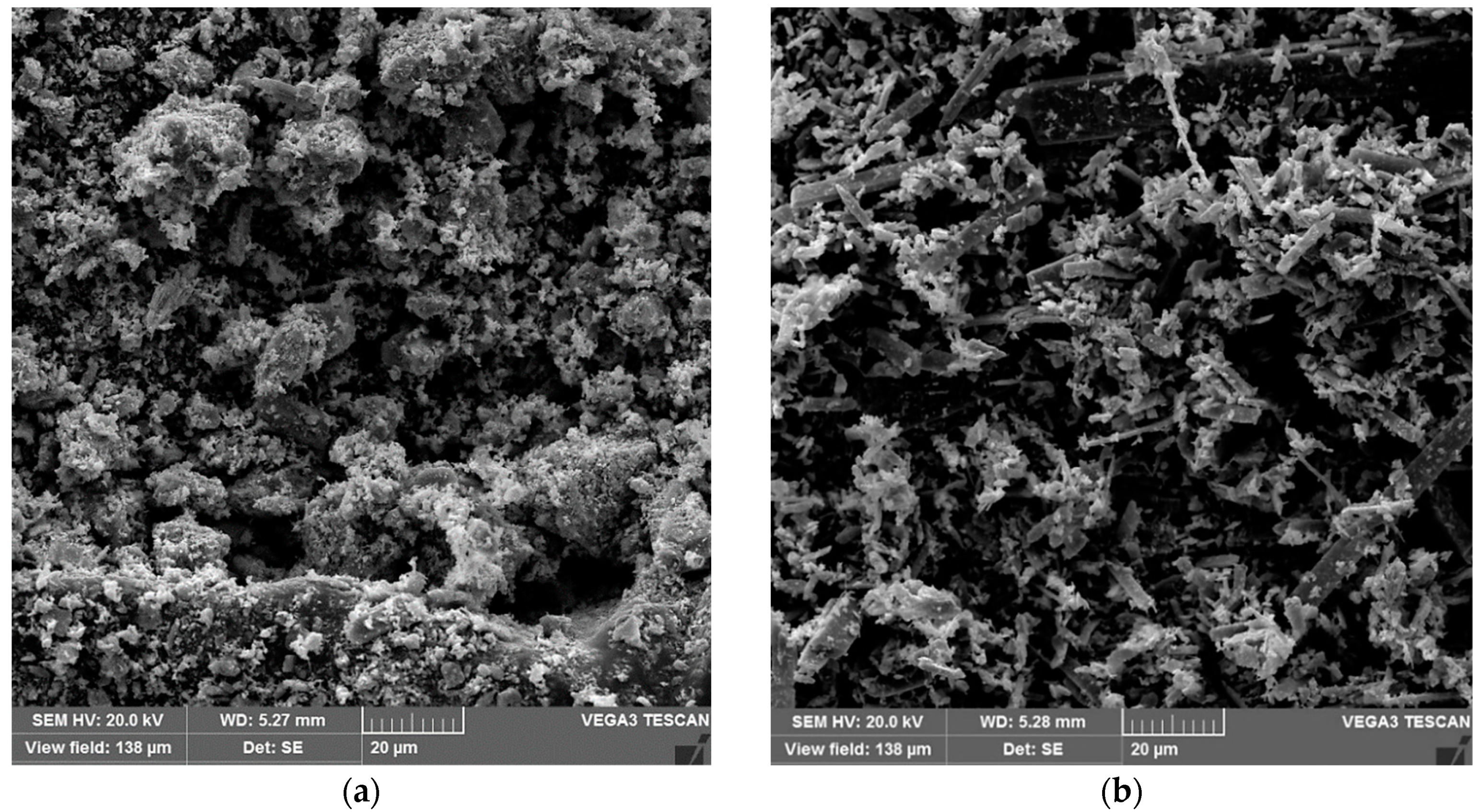 Molecules 29 02404 g005 Molecules 29 02404 g005