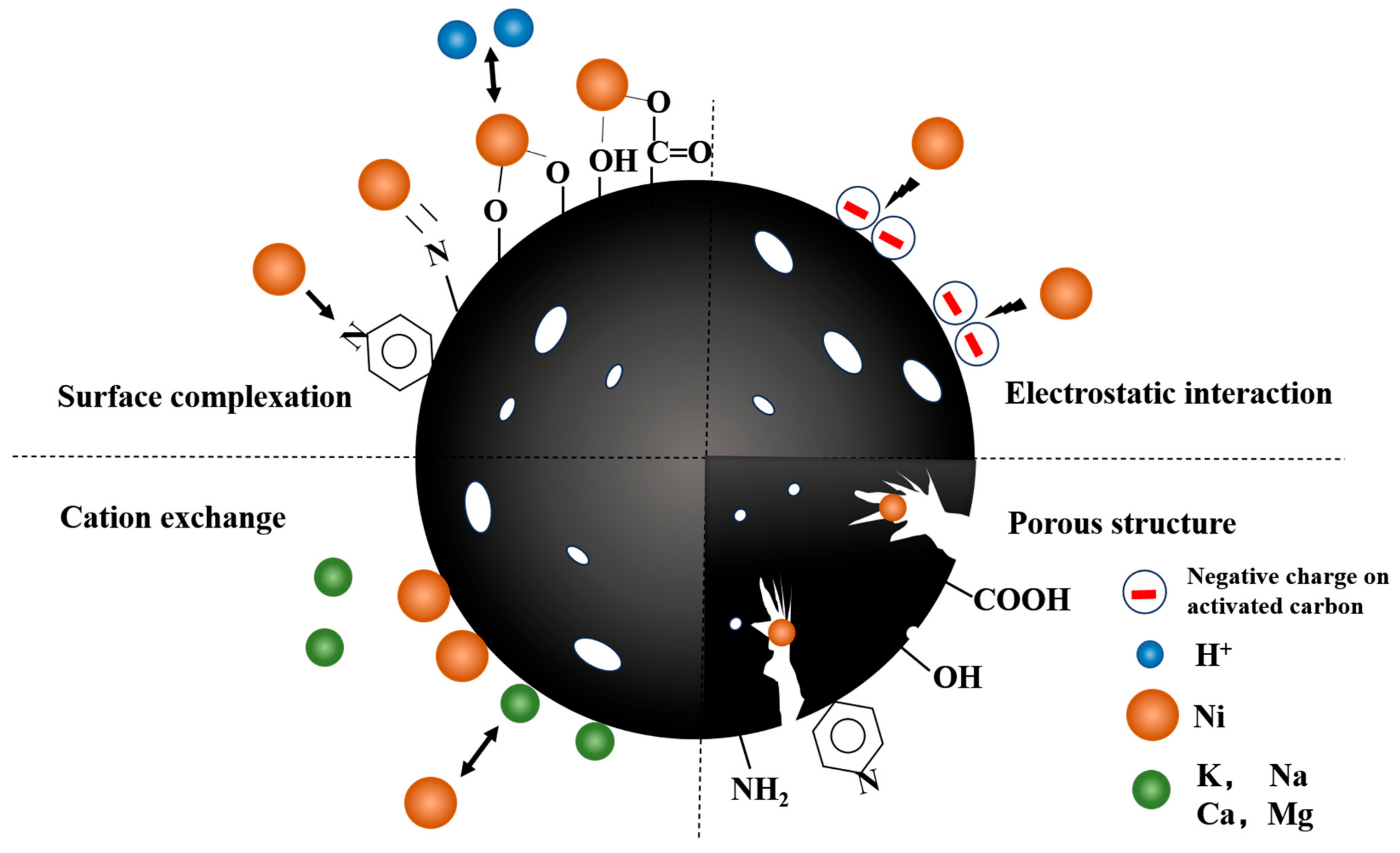 Molecules 29 02405 g008