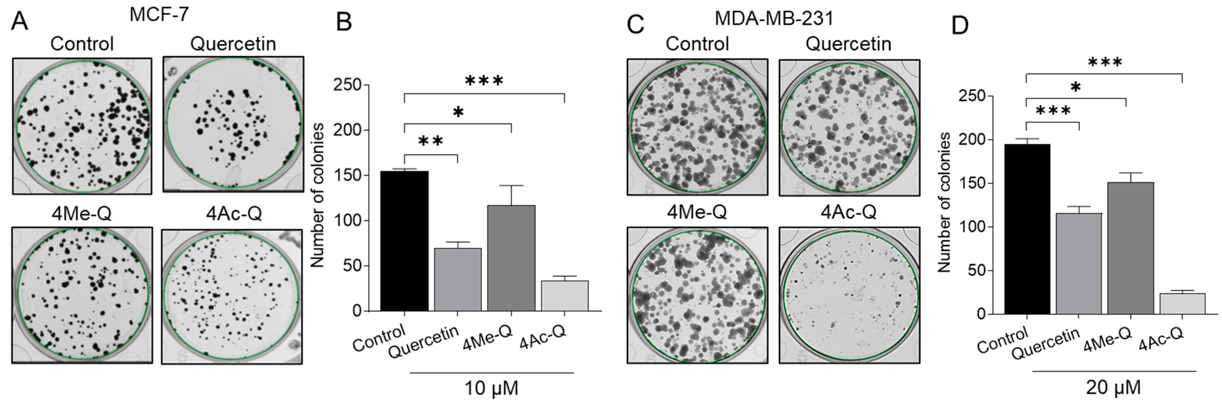 Molecules 29 02408 g003