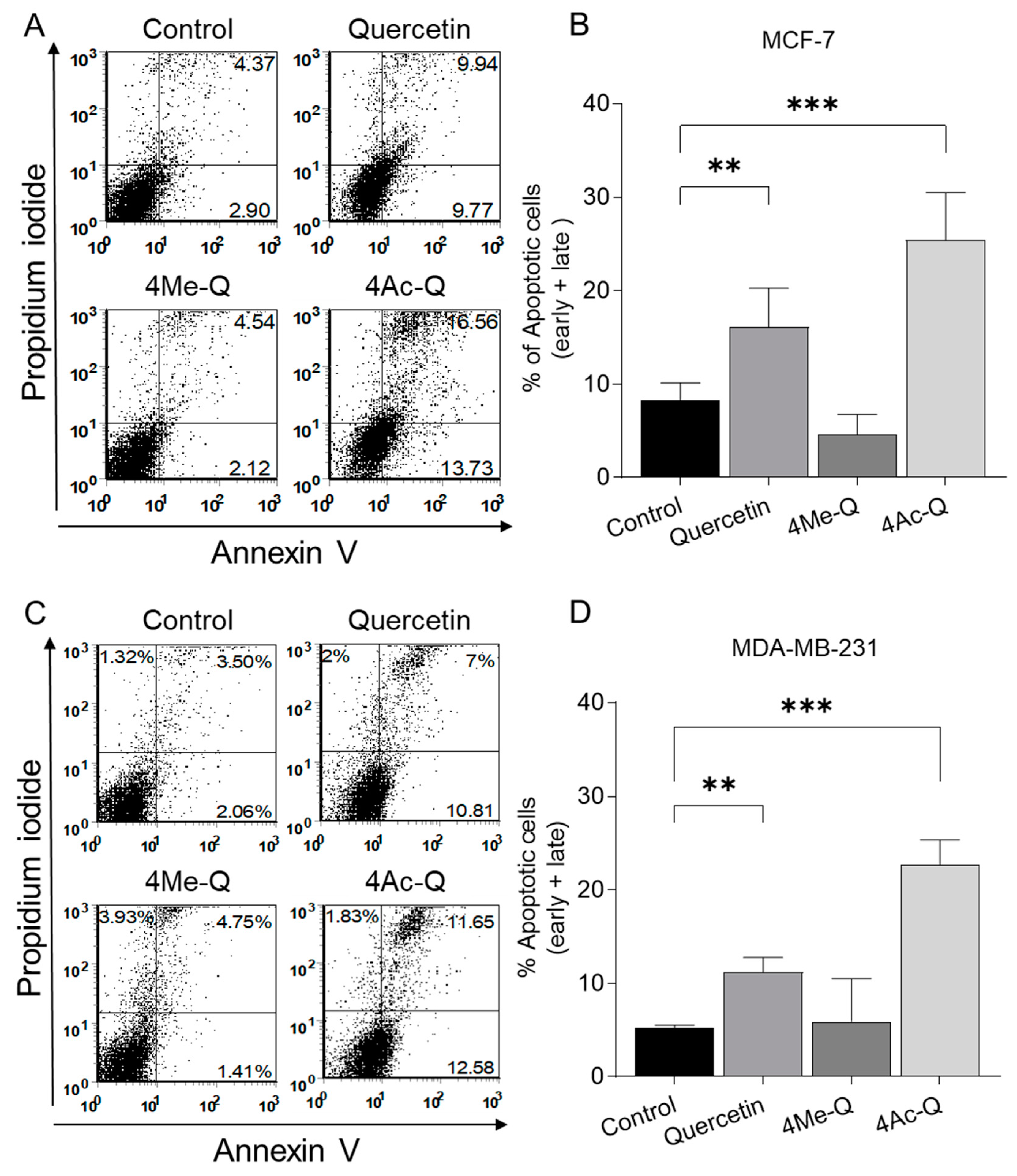 Molecules 29 02408 g004