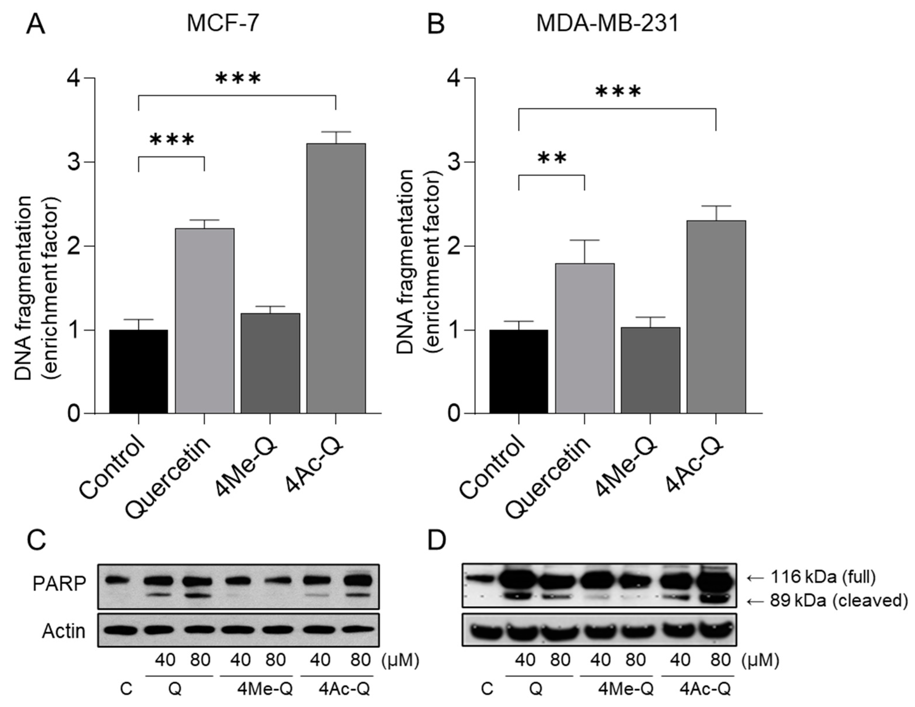 Molecules 29 02408 g005