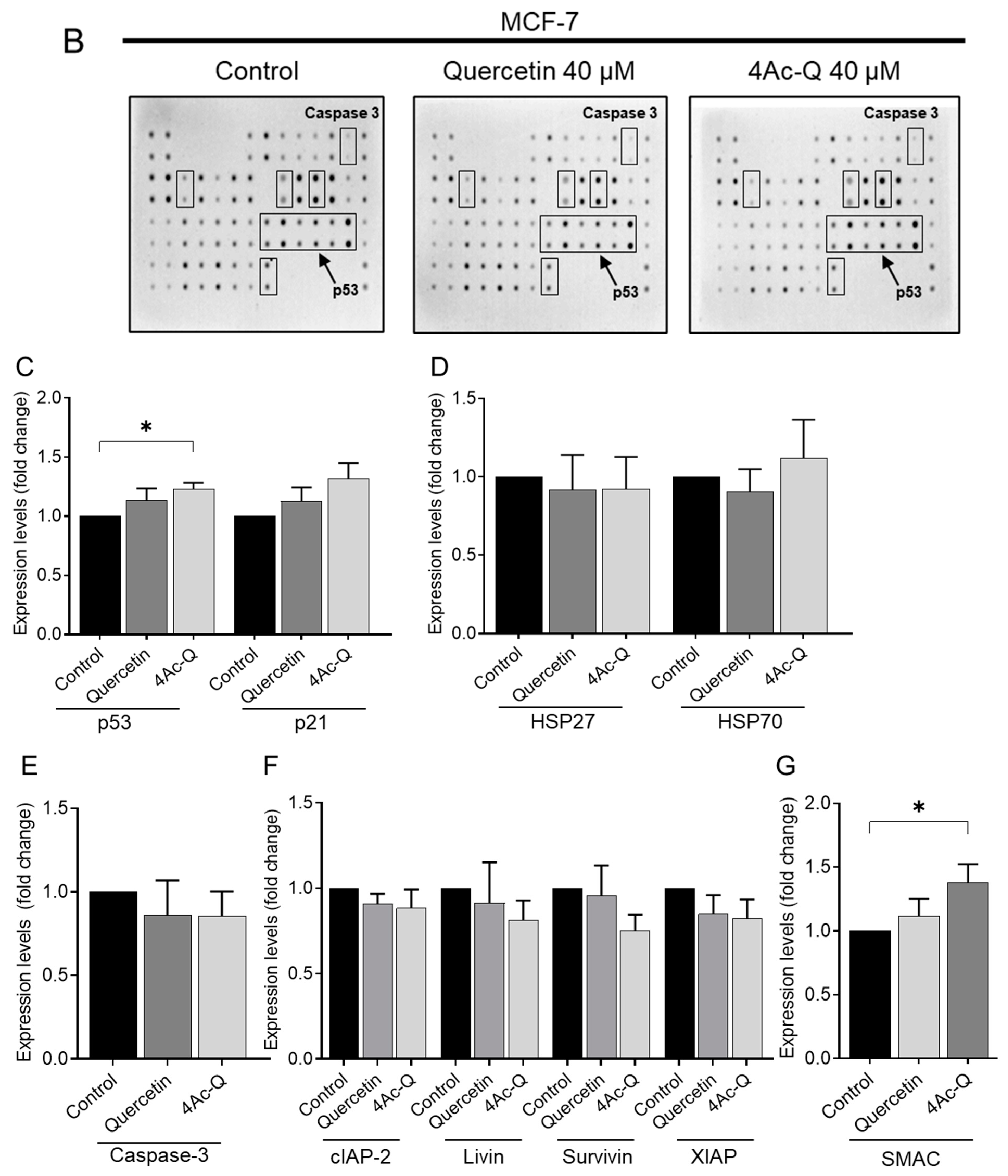 Molecules 29 02408 g008b
