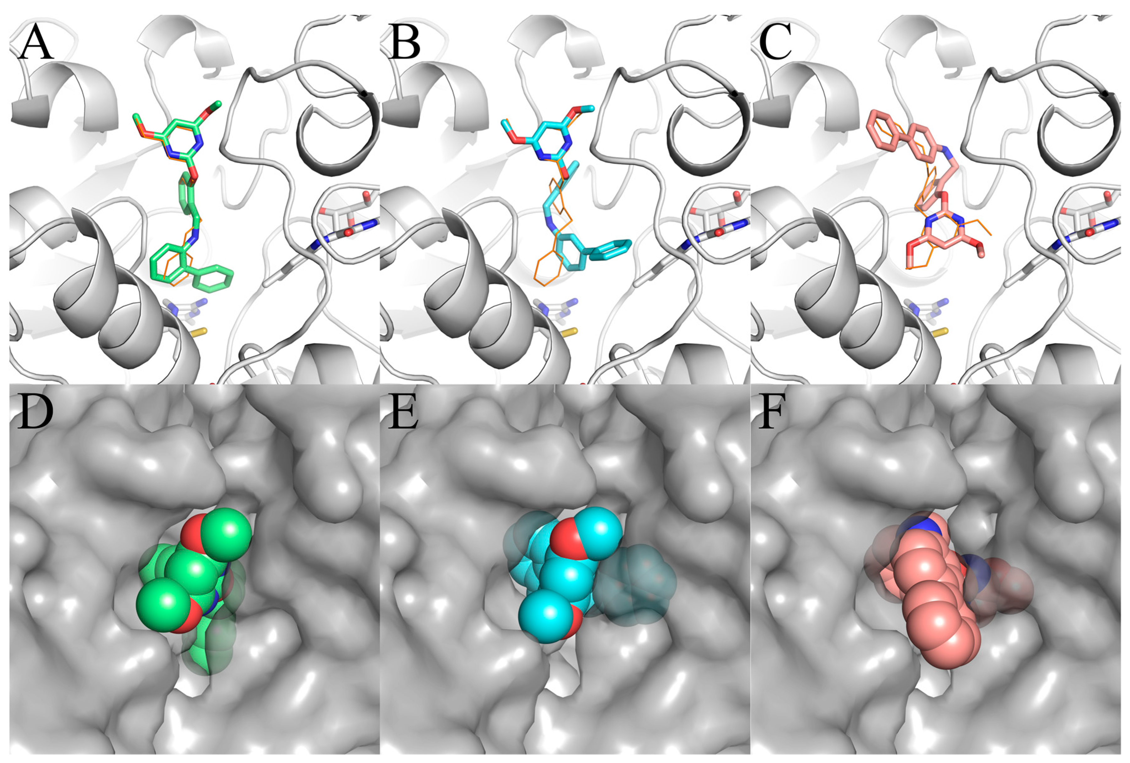 Molecules 29 02409 g004