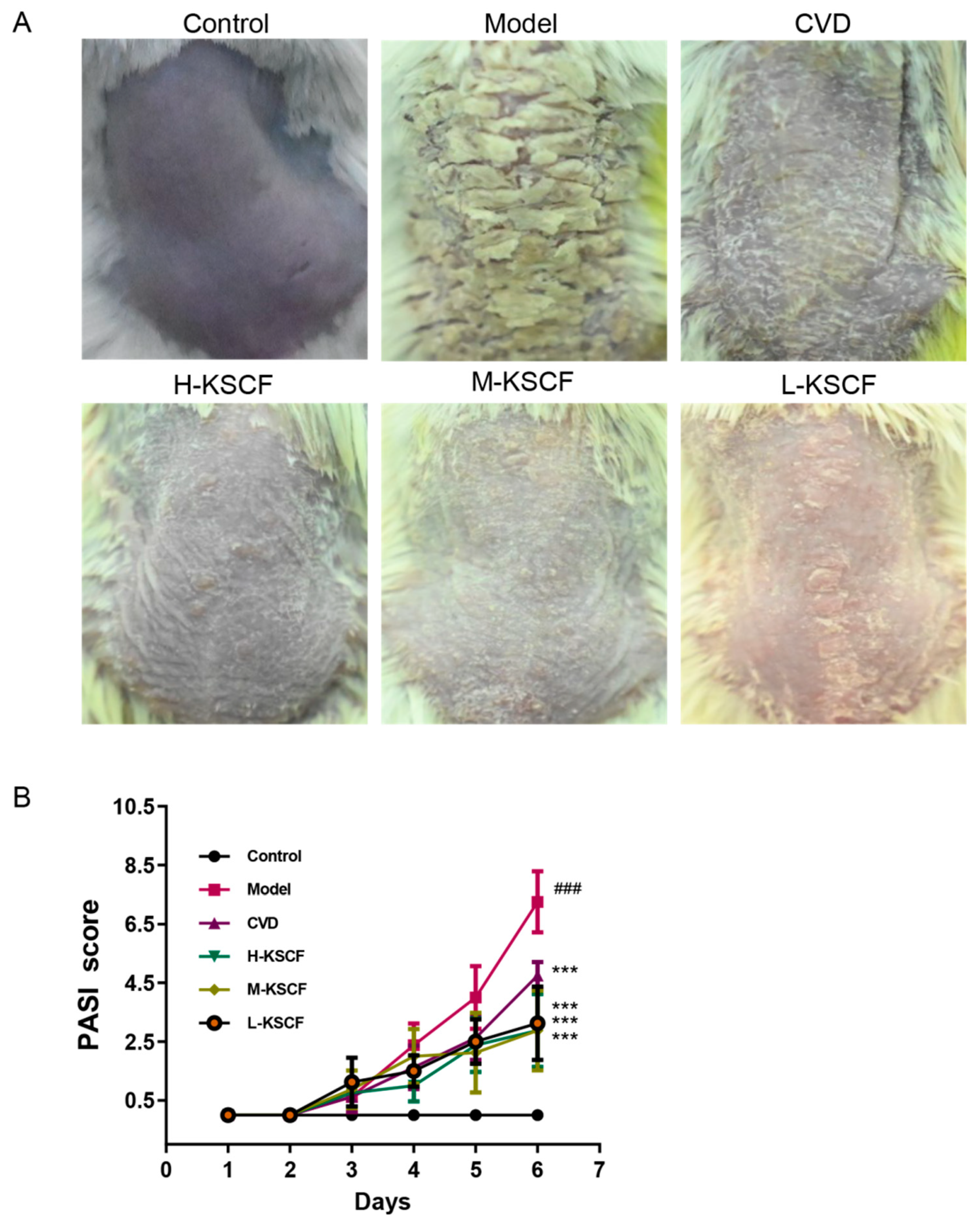 Molecules 29 02410 g001