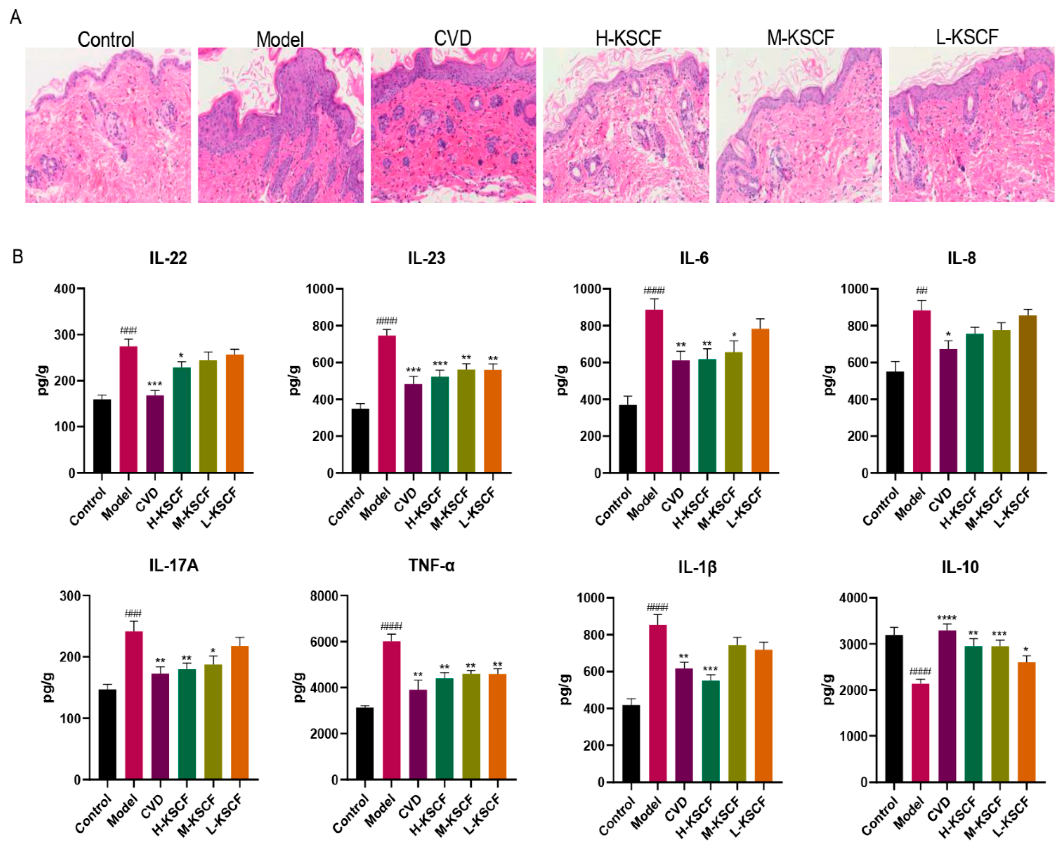 Molecules 29 02410 g002