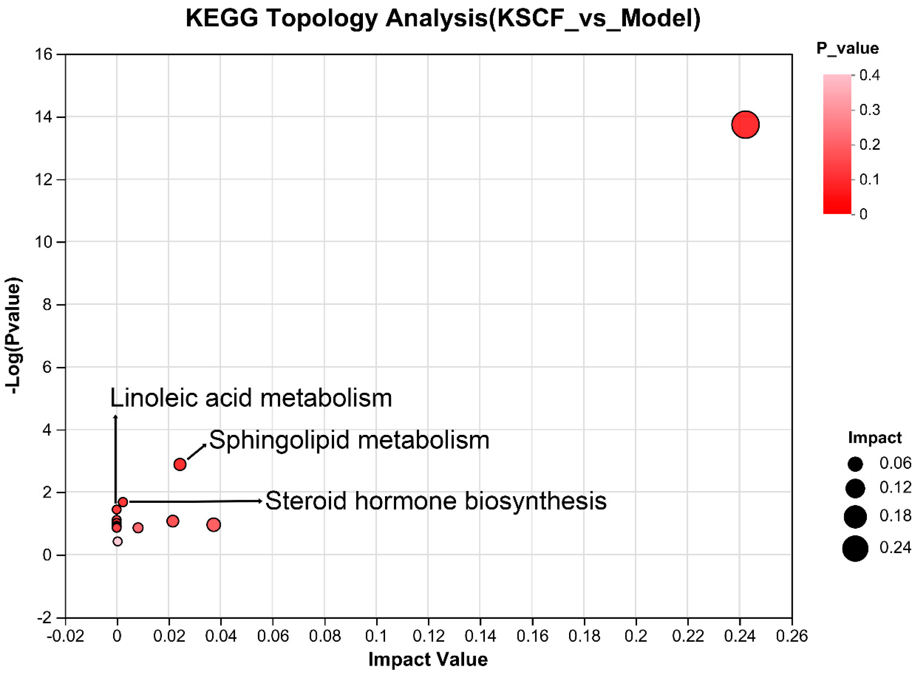 Molecules 29 02410 g006