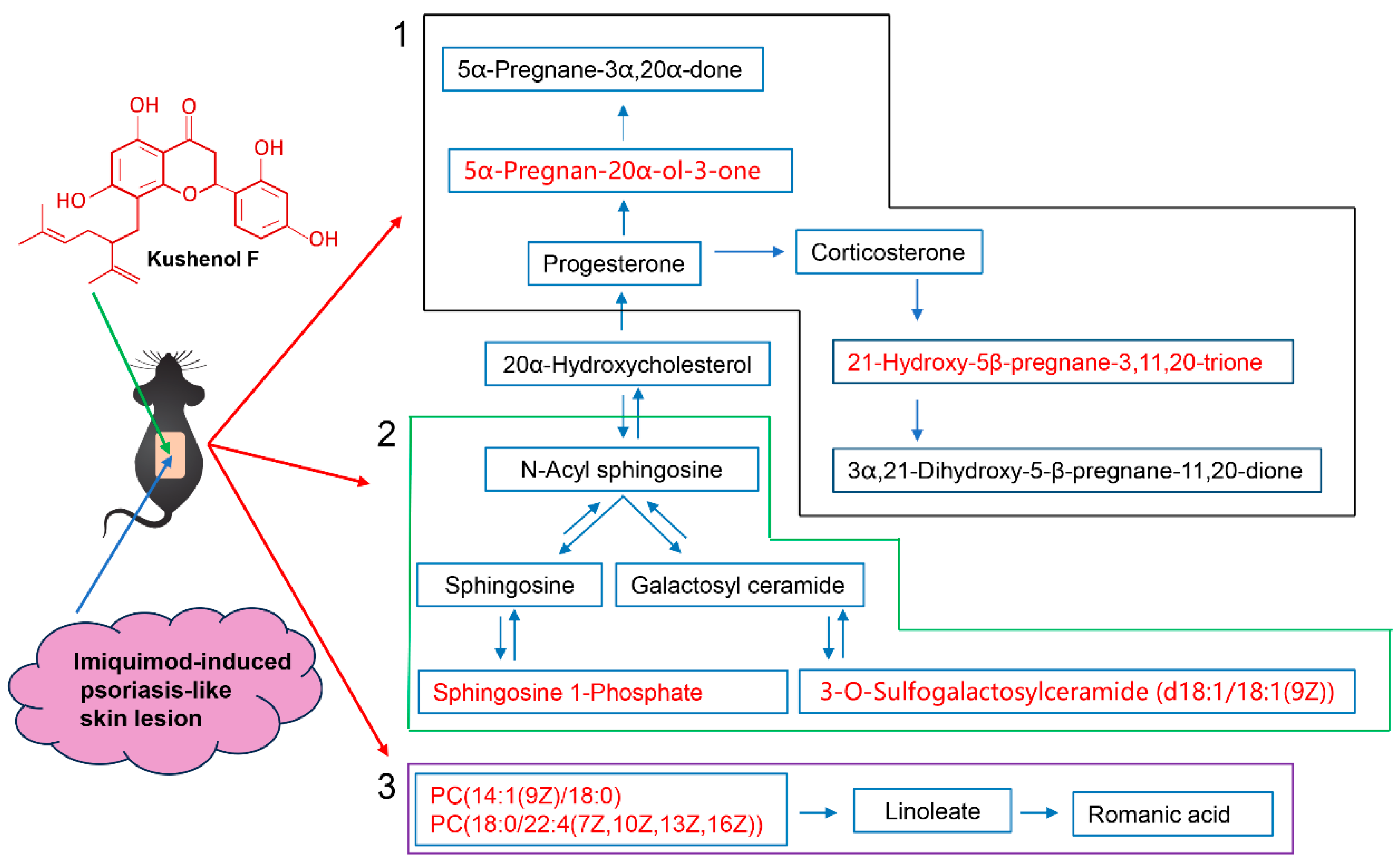 Molecules 29 02410 g007