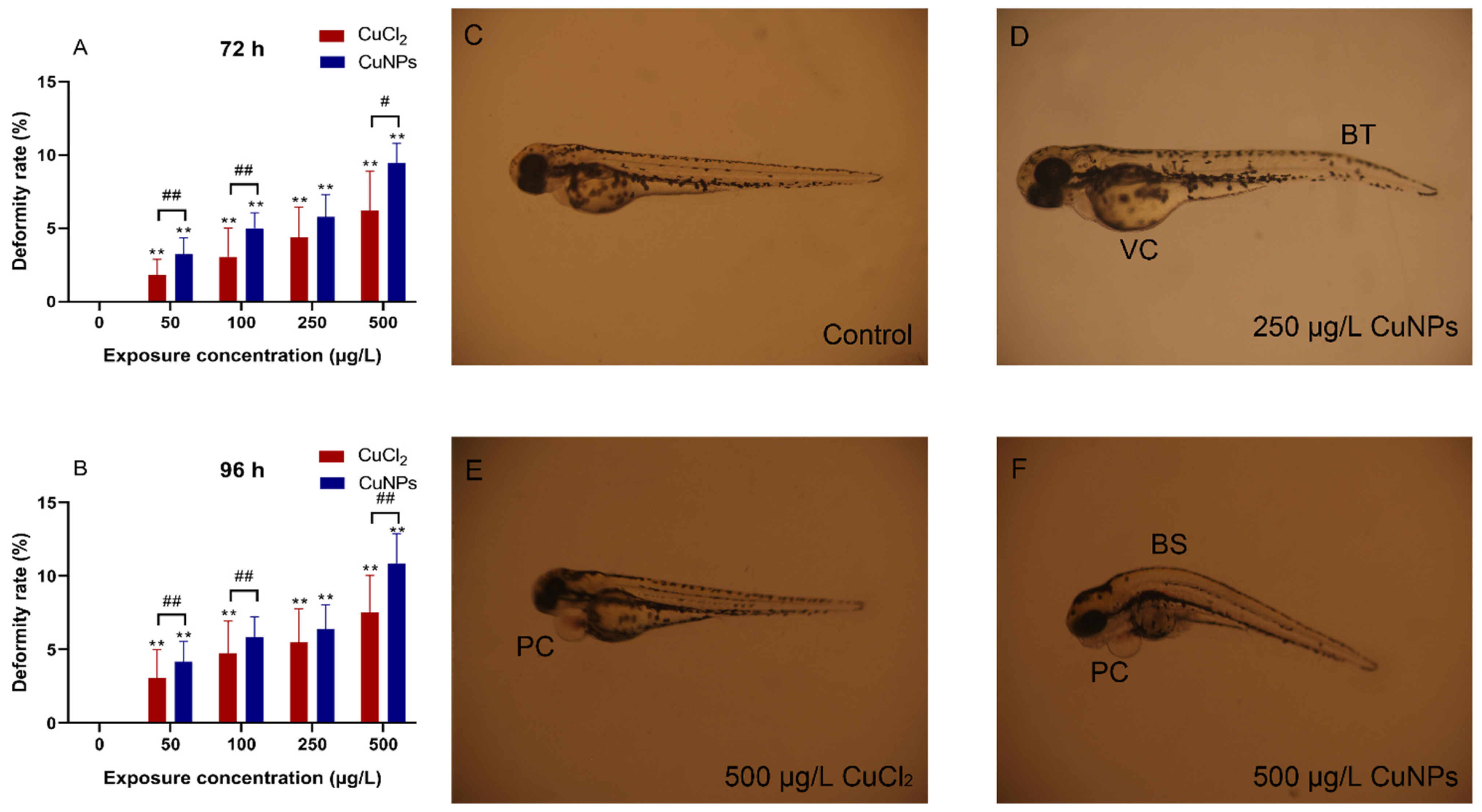 Molecules 29 02414 g005