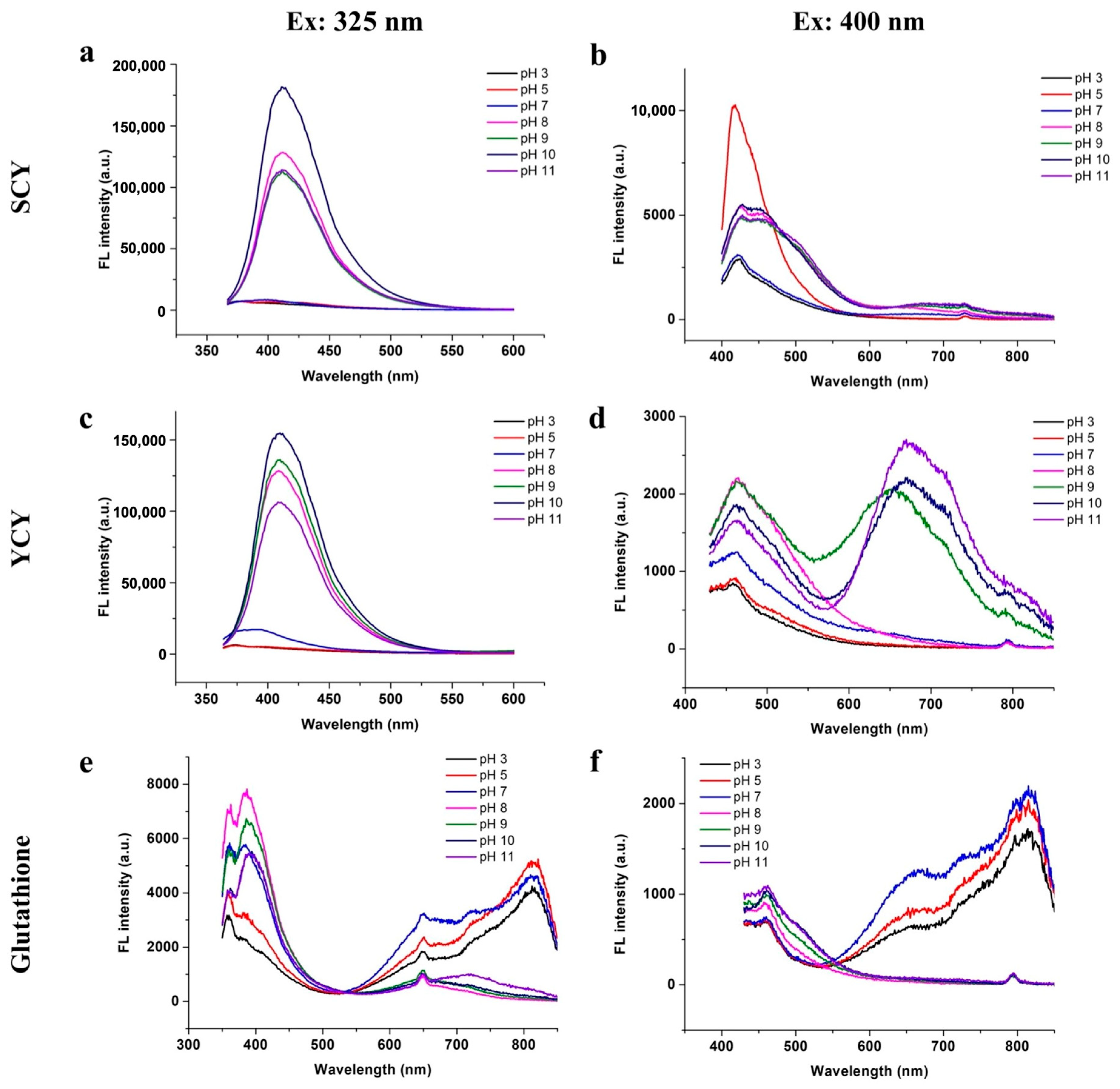Molecules 29 02416 g001
