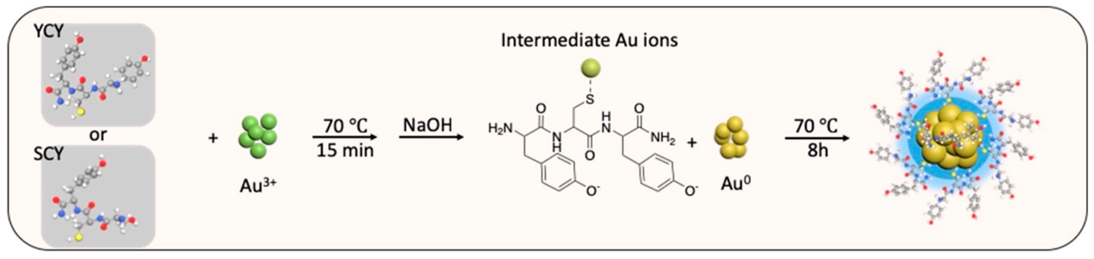 Molecules 29 02416 sch001
