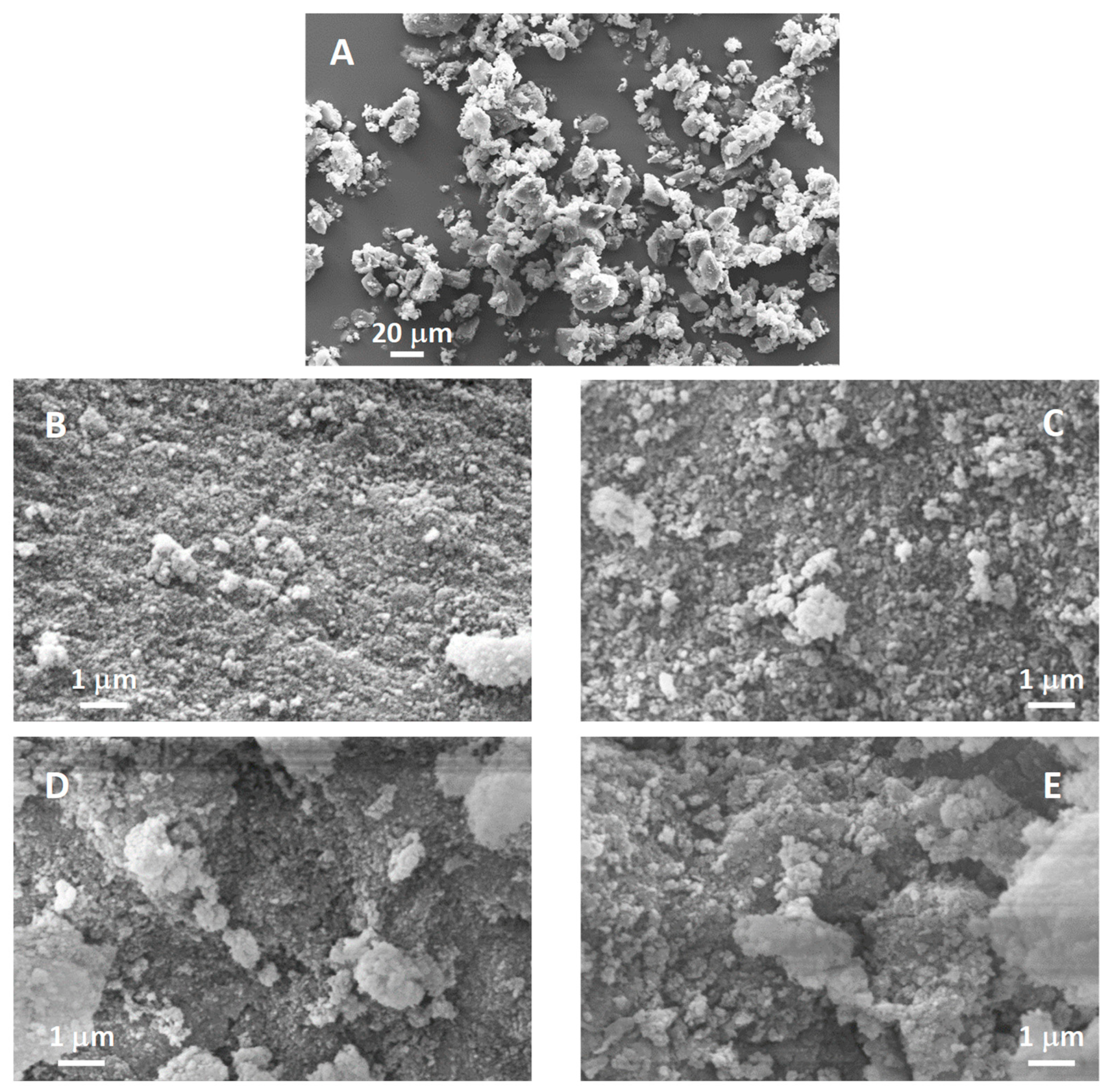 Molecules 29 02419 g006