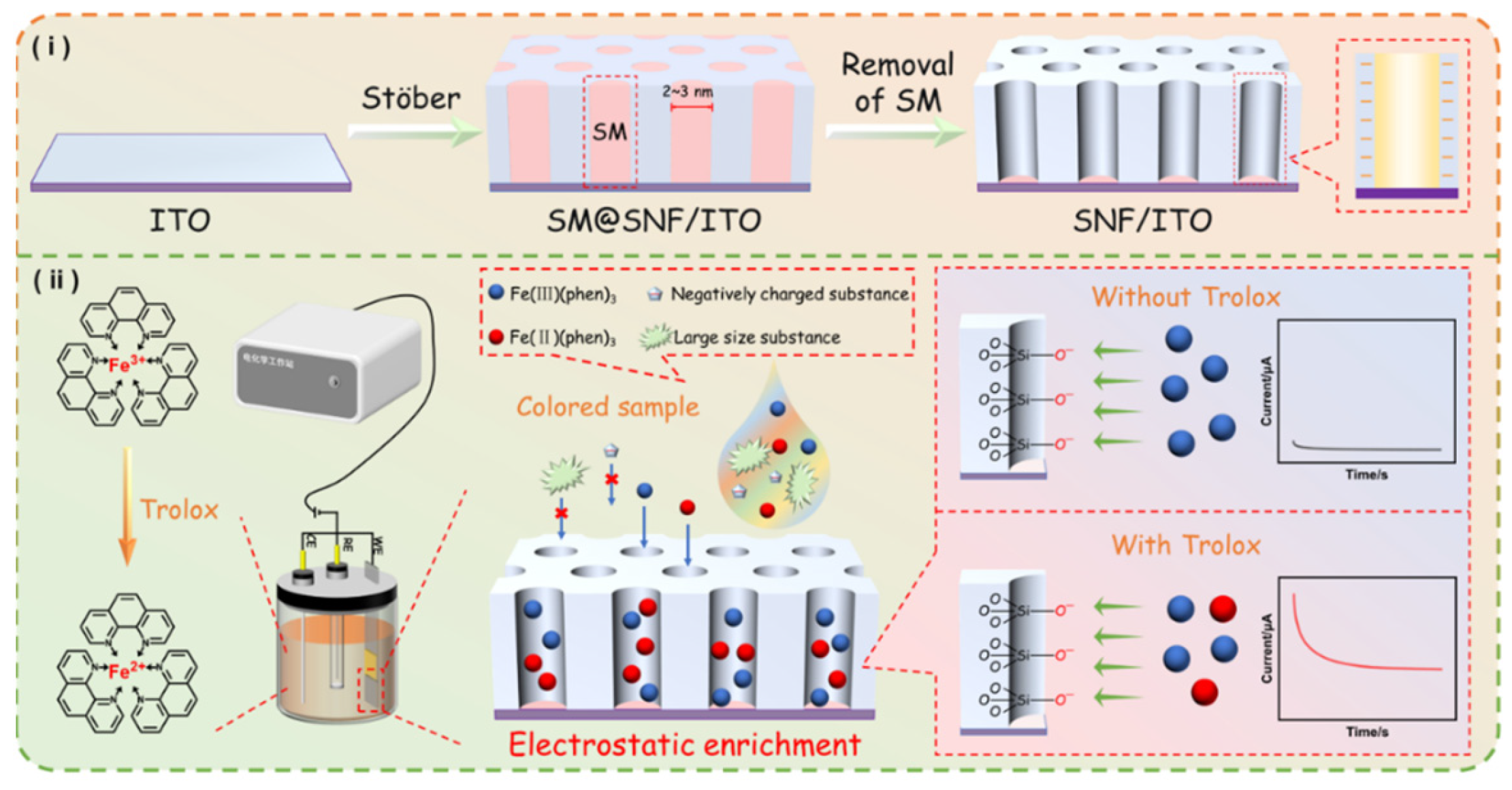 Molecules 29 02423 g001