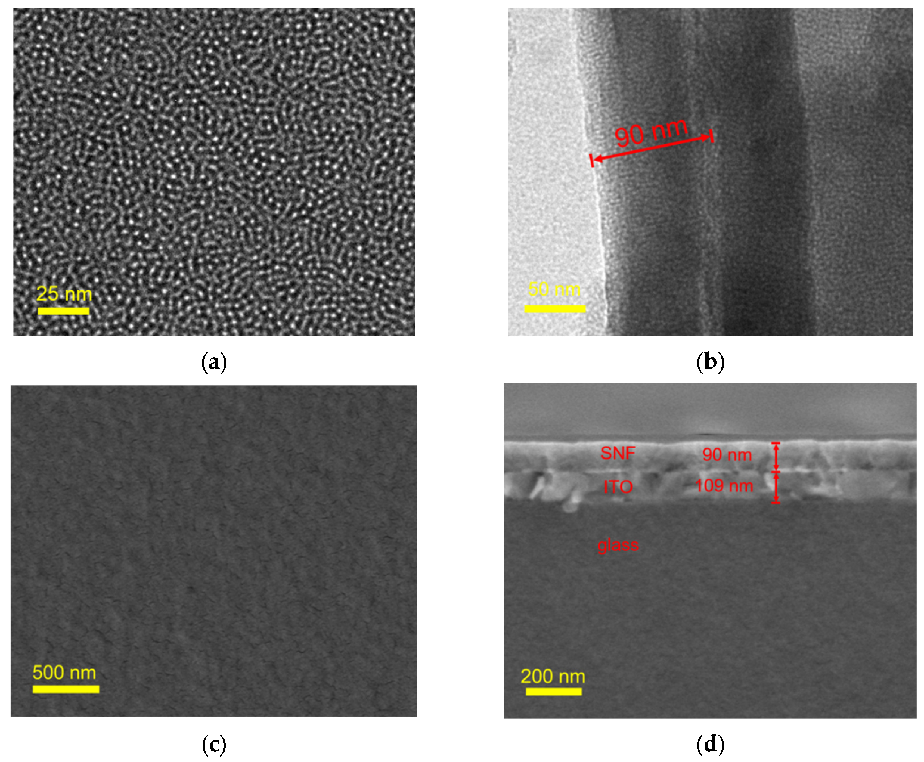 Molecules 29 02423 g002