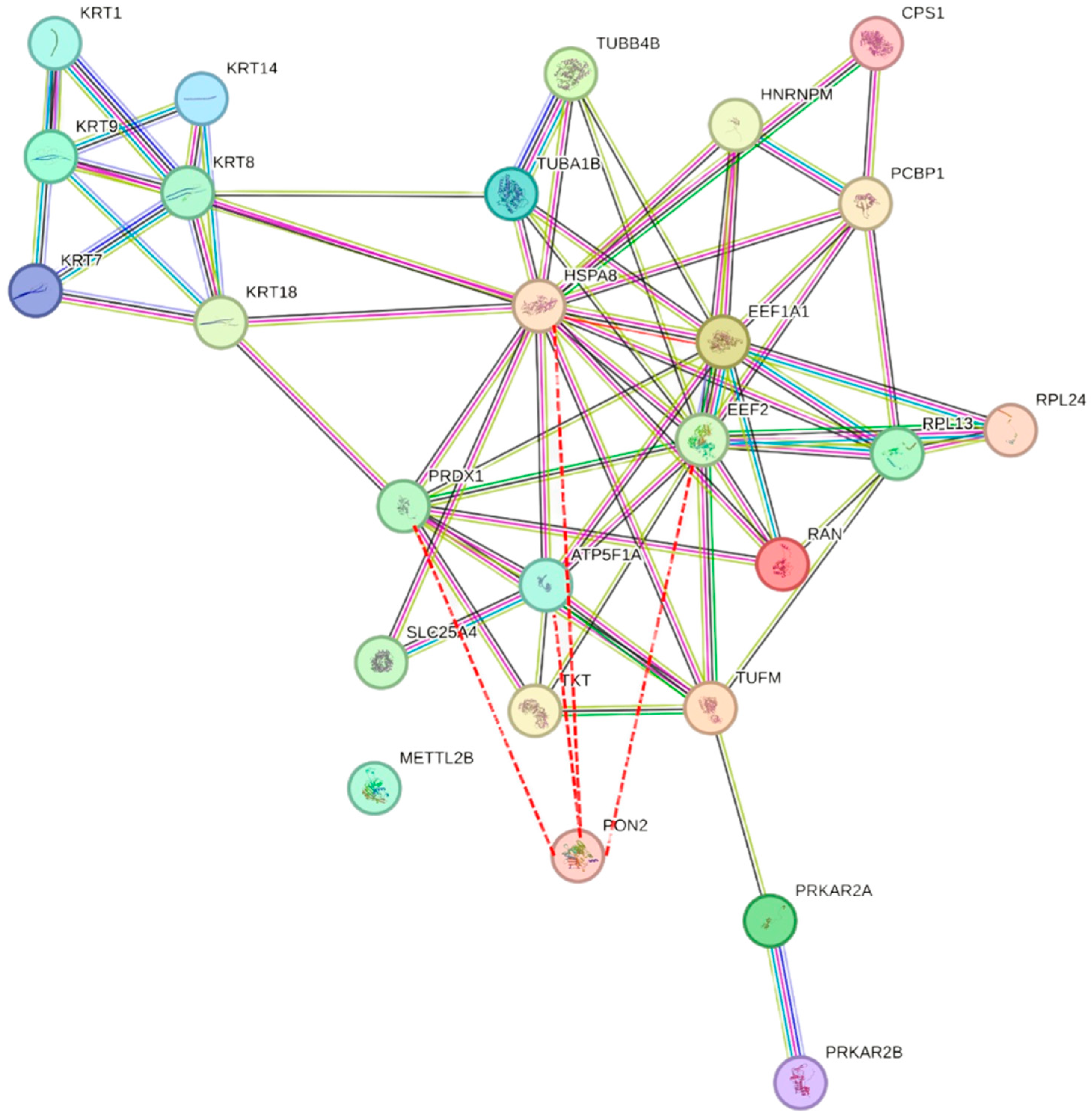 Molecules 29 02434 g009