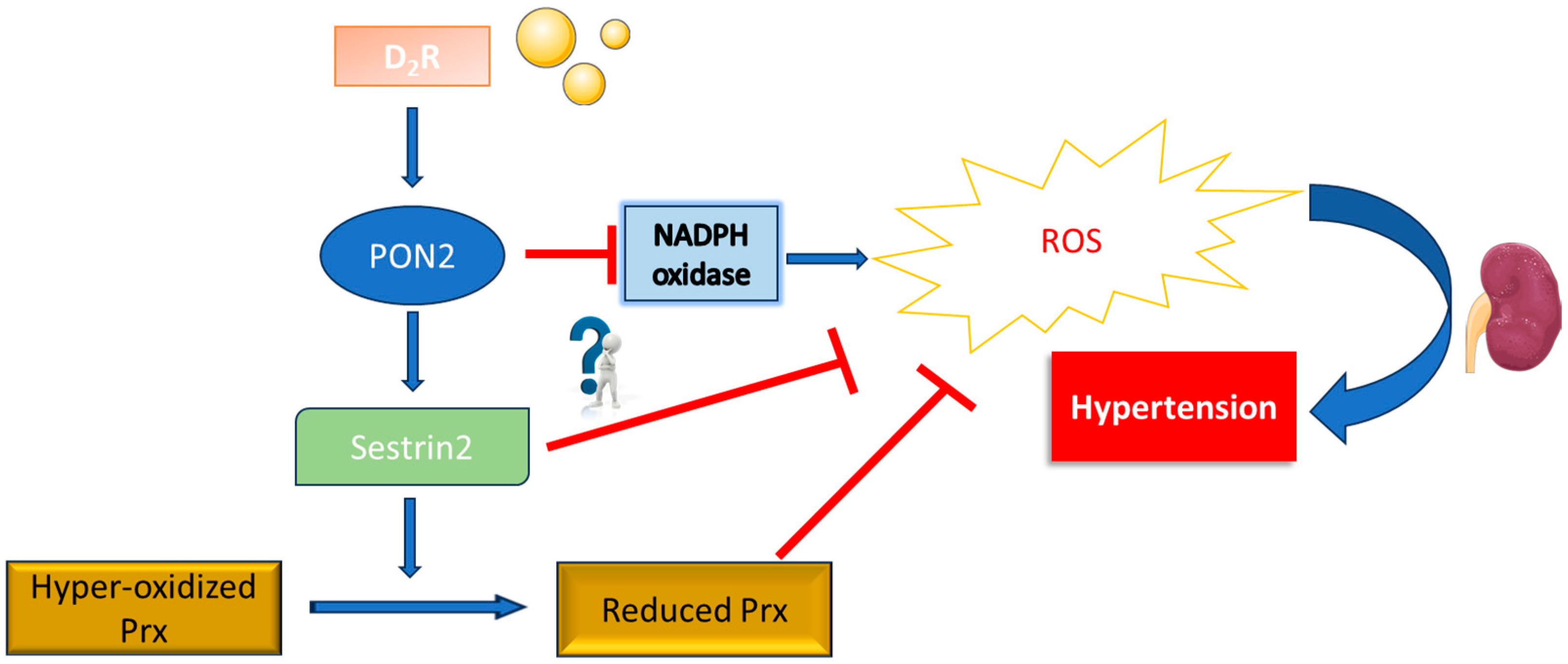 Molecules 29 02434 g010