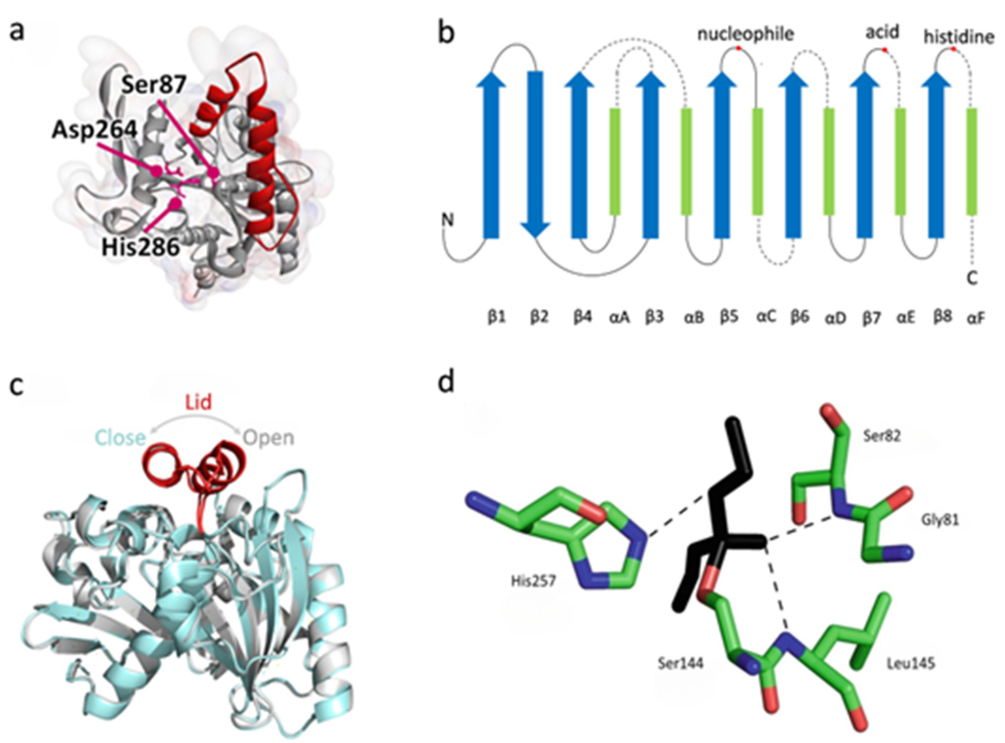 Molecules 29 02444 g001