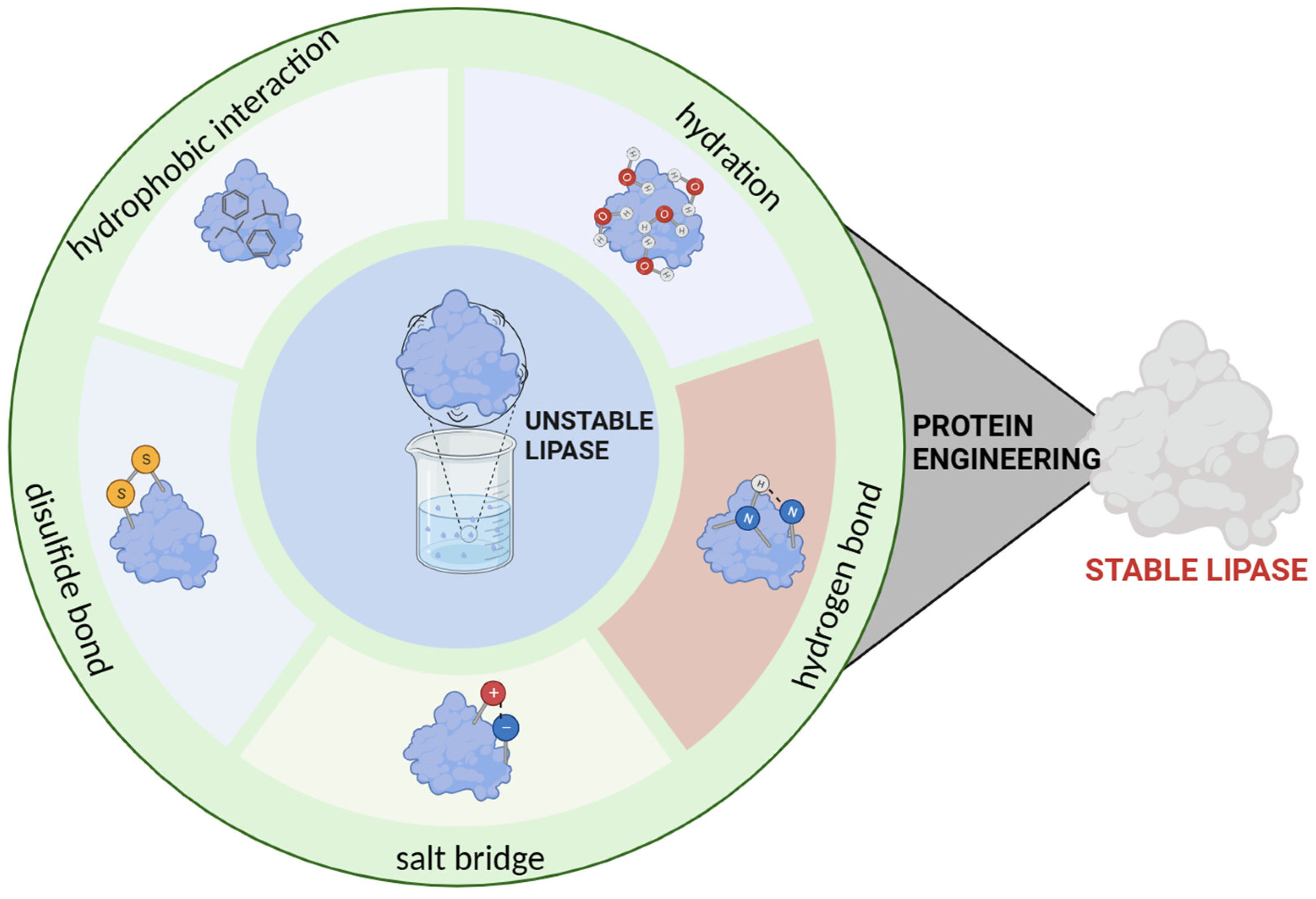 Molecules 29 02444 g004
