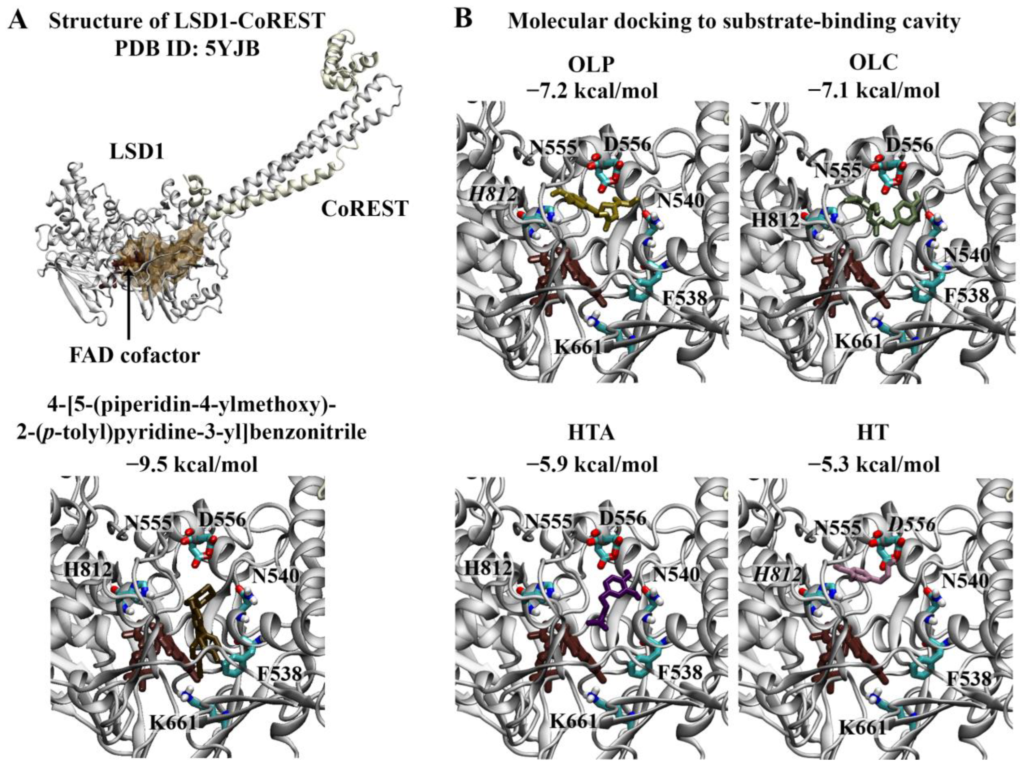 Molecules 29 02446 g002