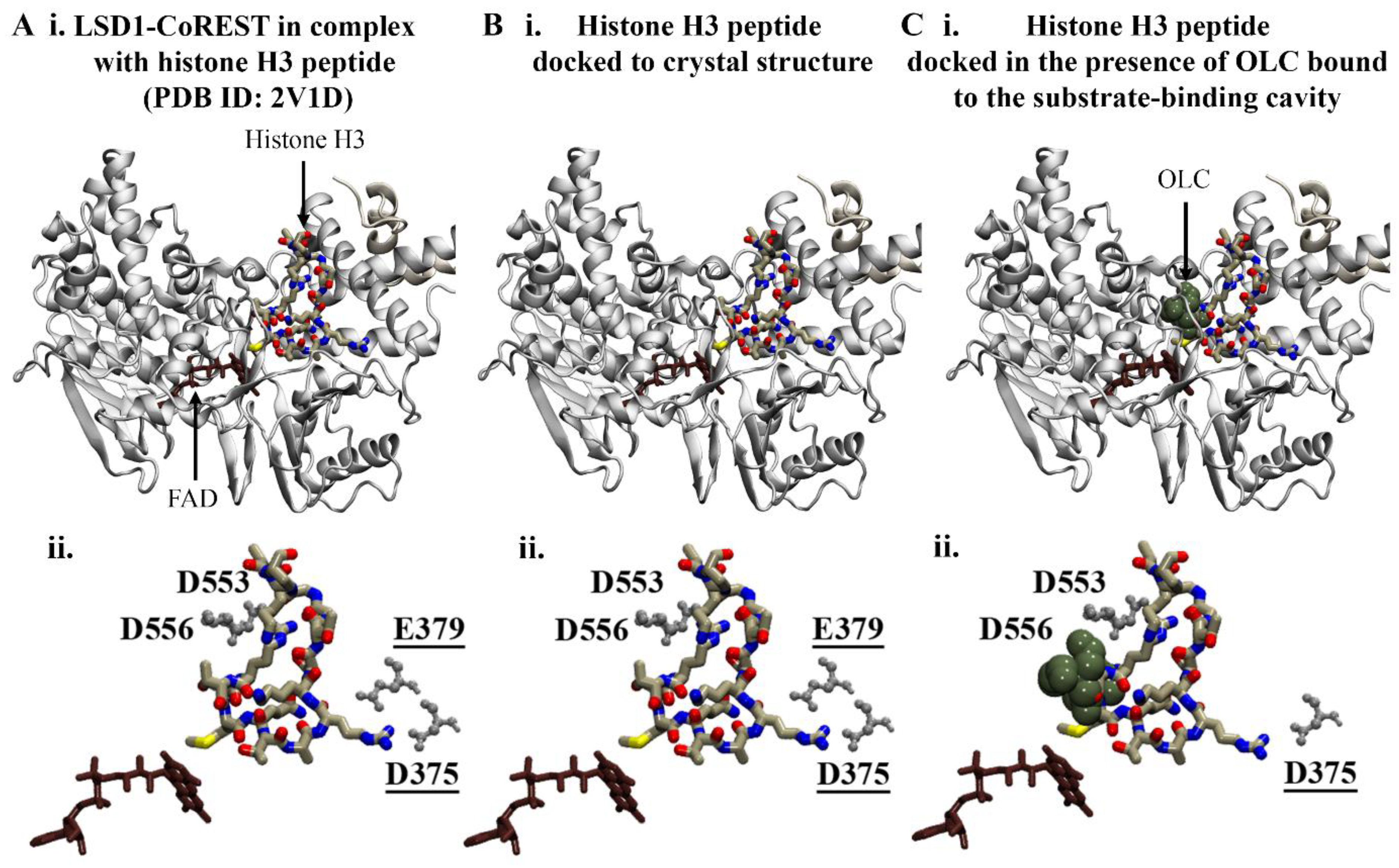 Molecules 29 02446 g003