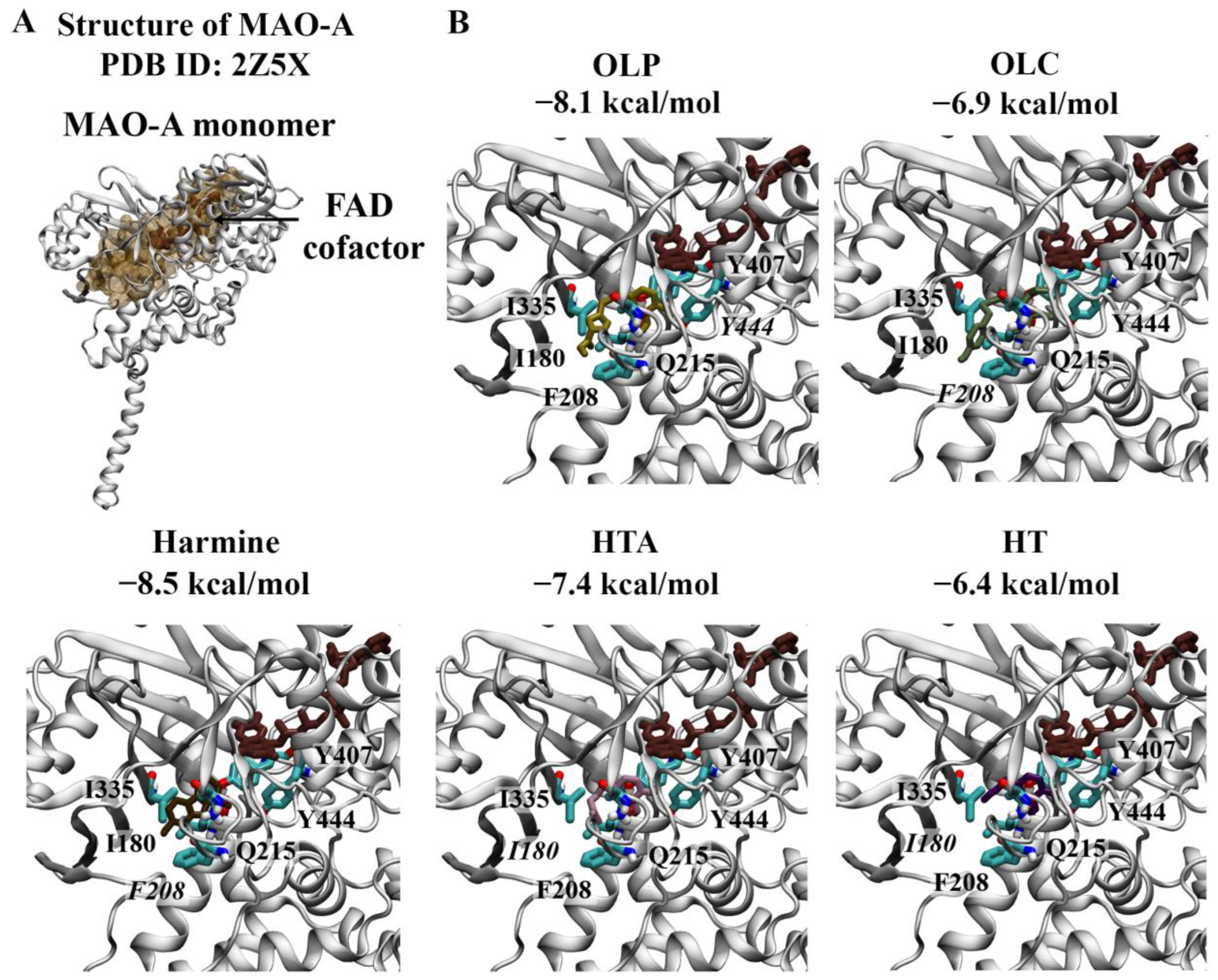 Molecules 29 02446 g004