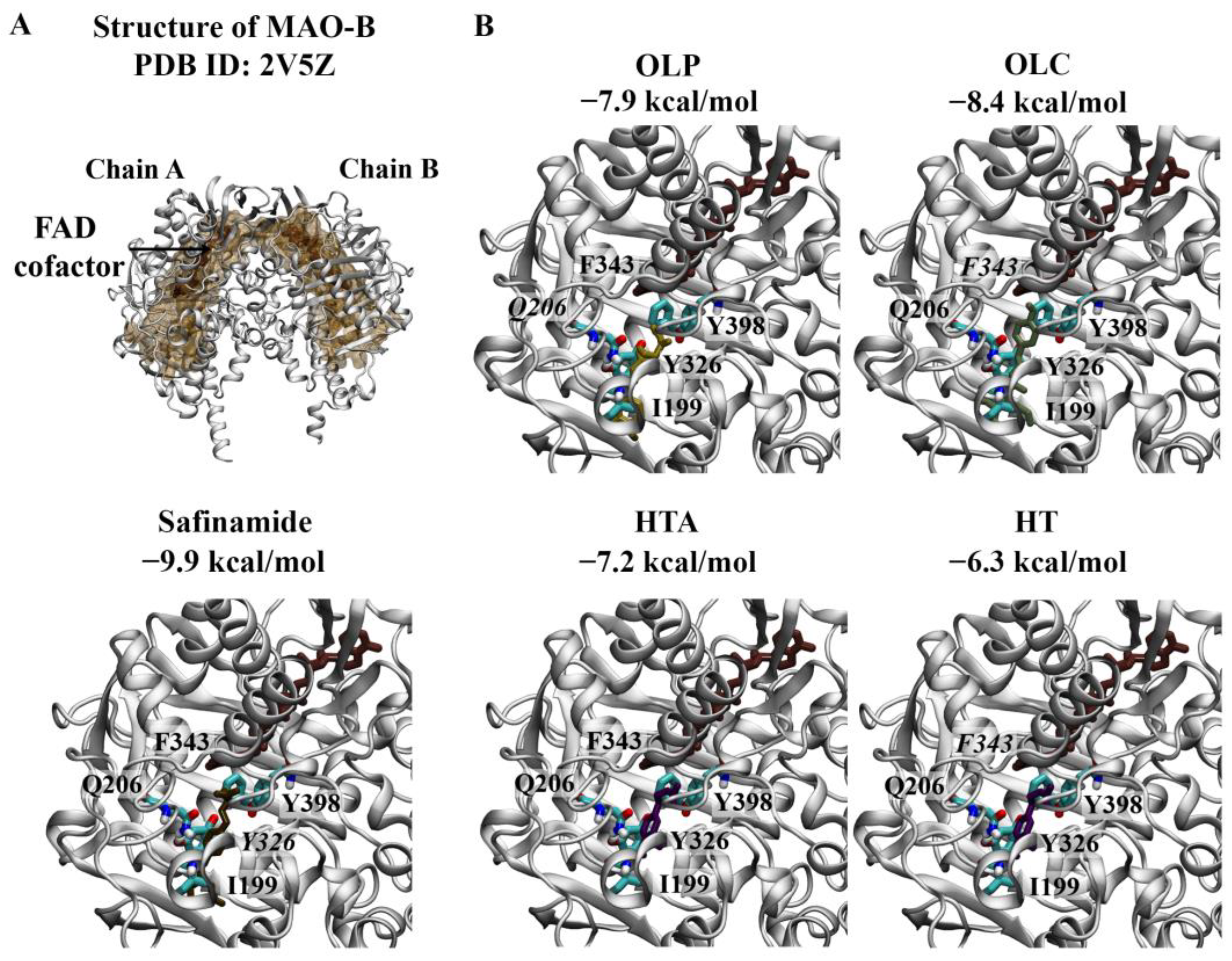 Molecules 29 02446 g005