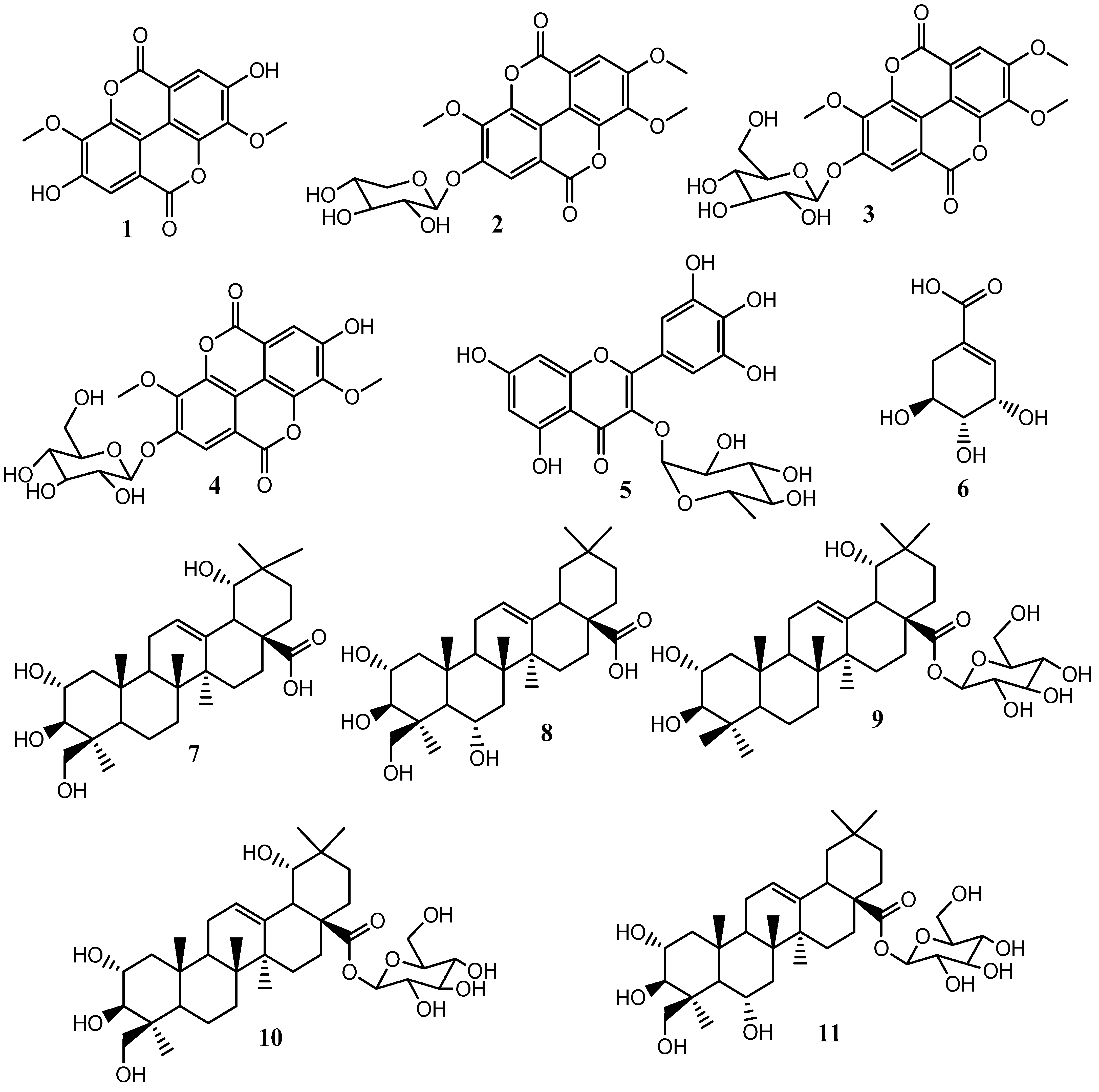 Molecules 29 02456 g001