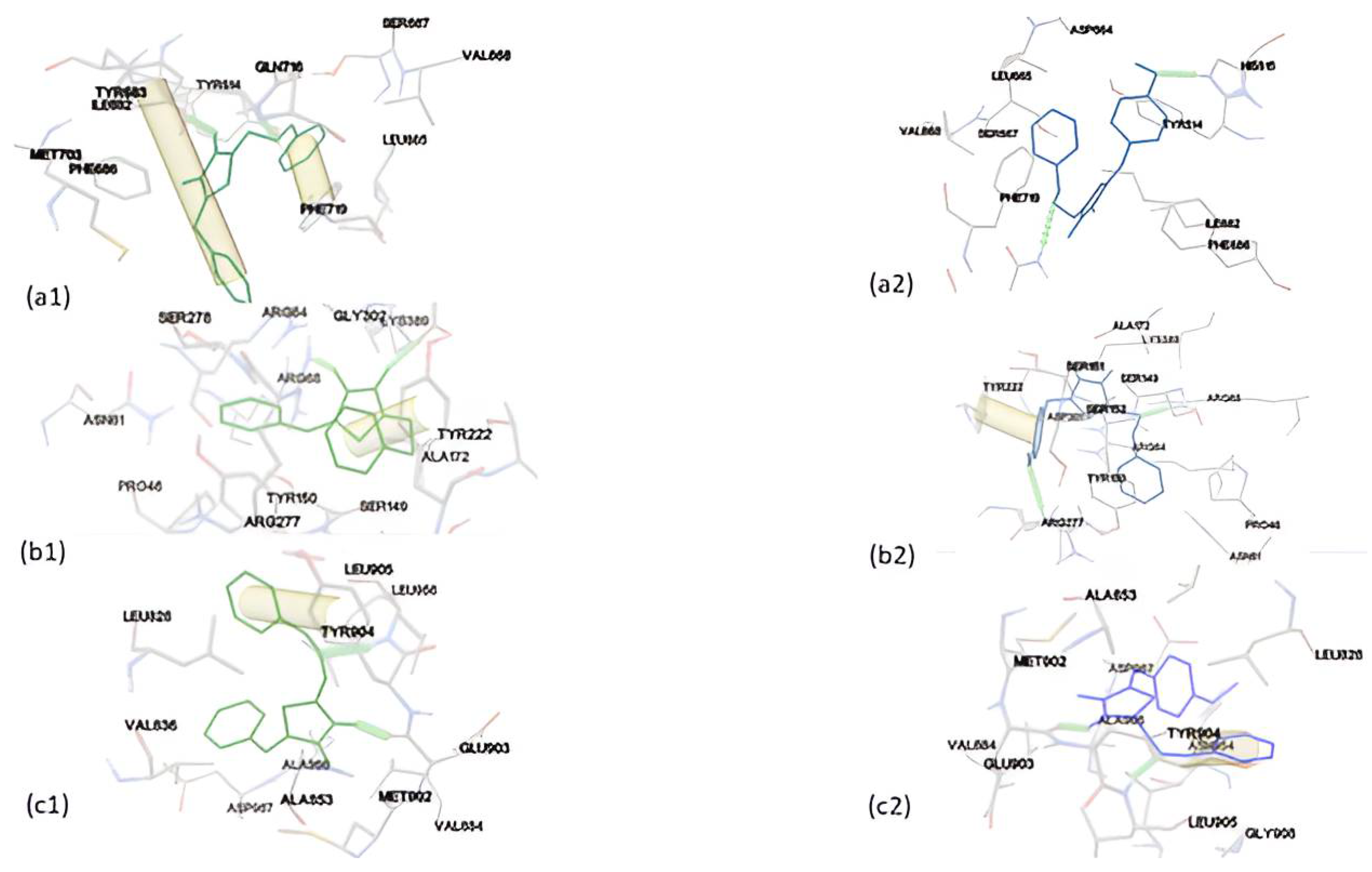 Molecules 29 02458 g006a
