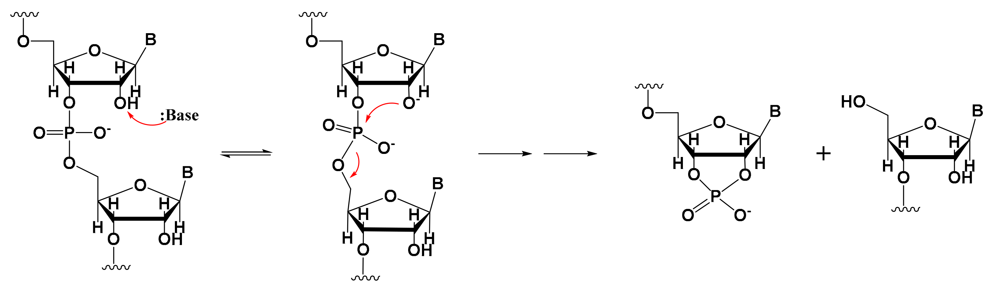 Molecules 29 02461 g001