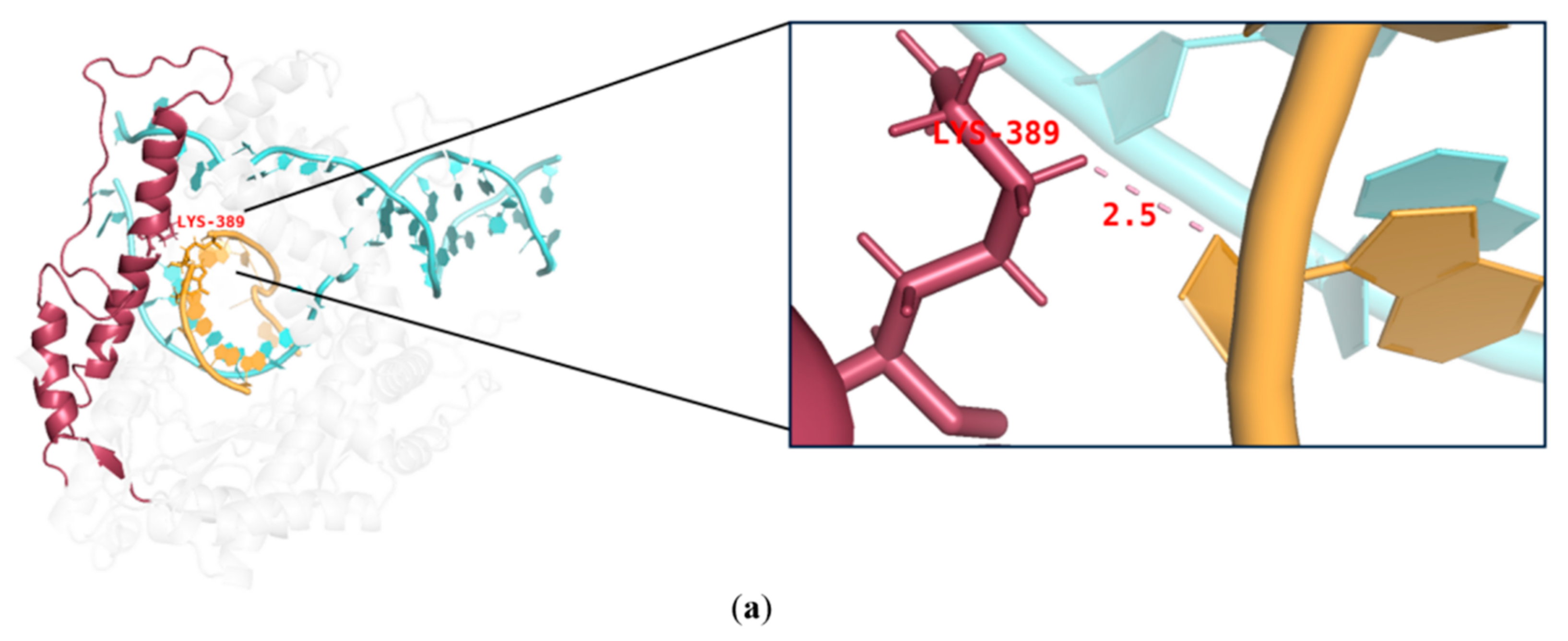 Molecules 29 02461 g005a