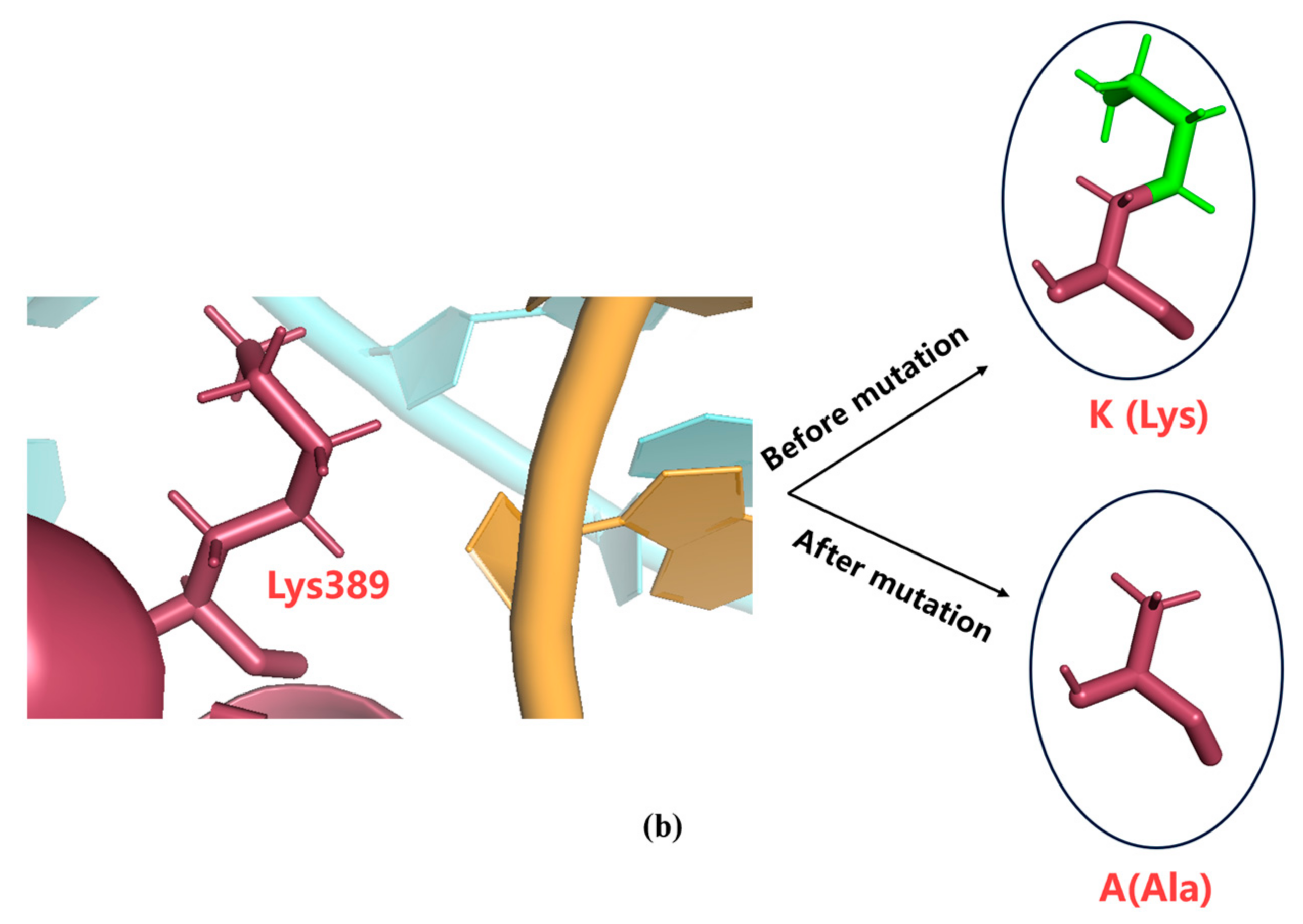 Molecules 29 02461 g005b