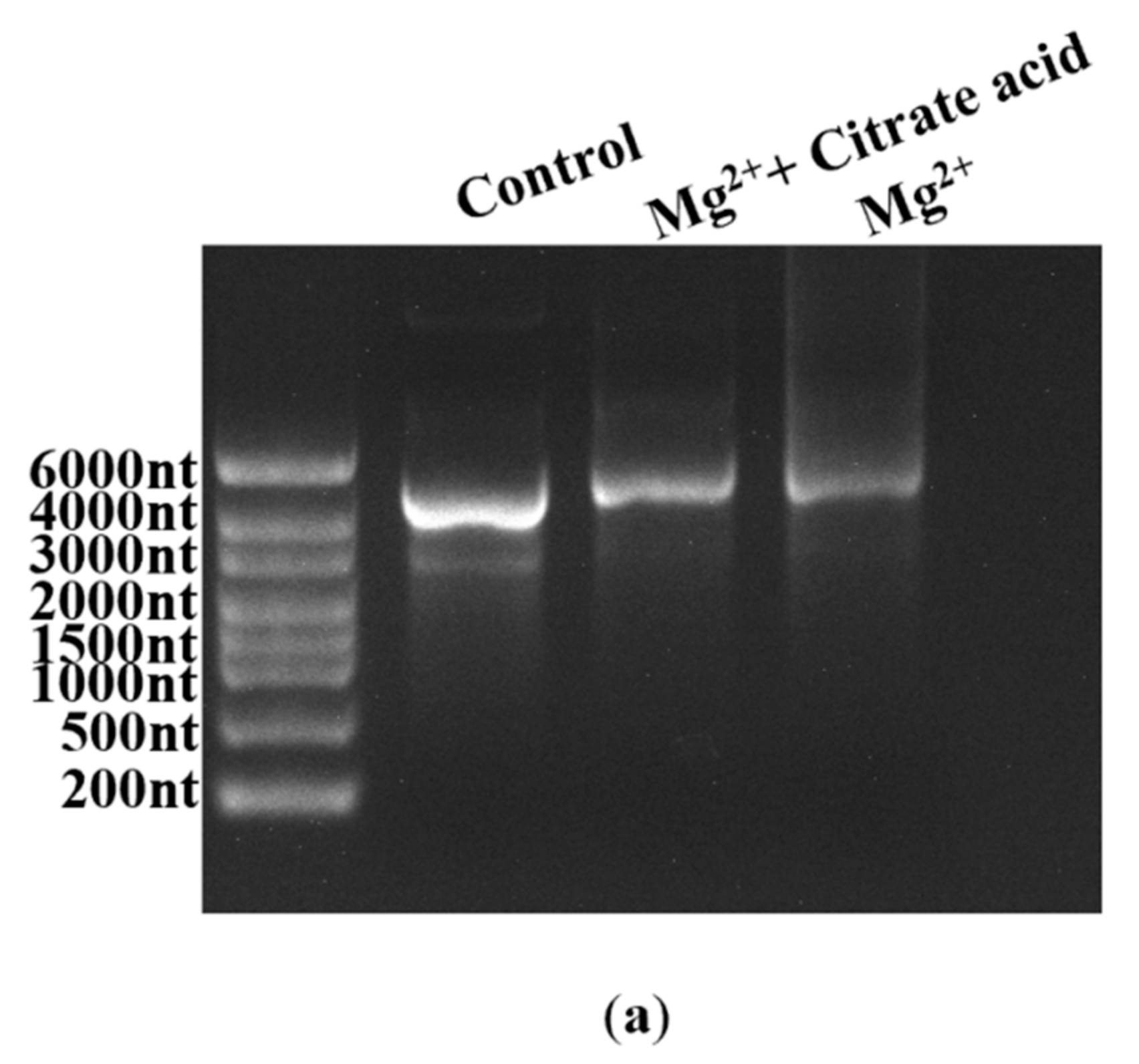 Molecules 29 02461 g009a