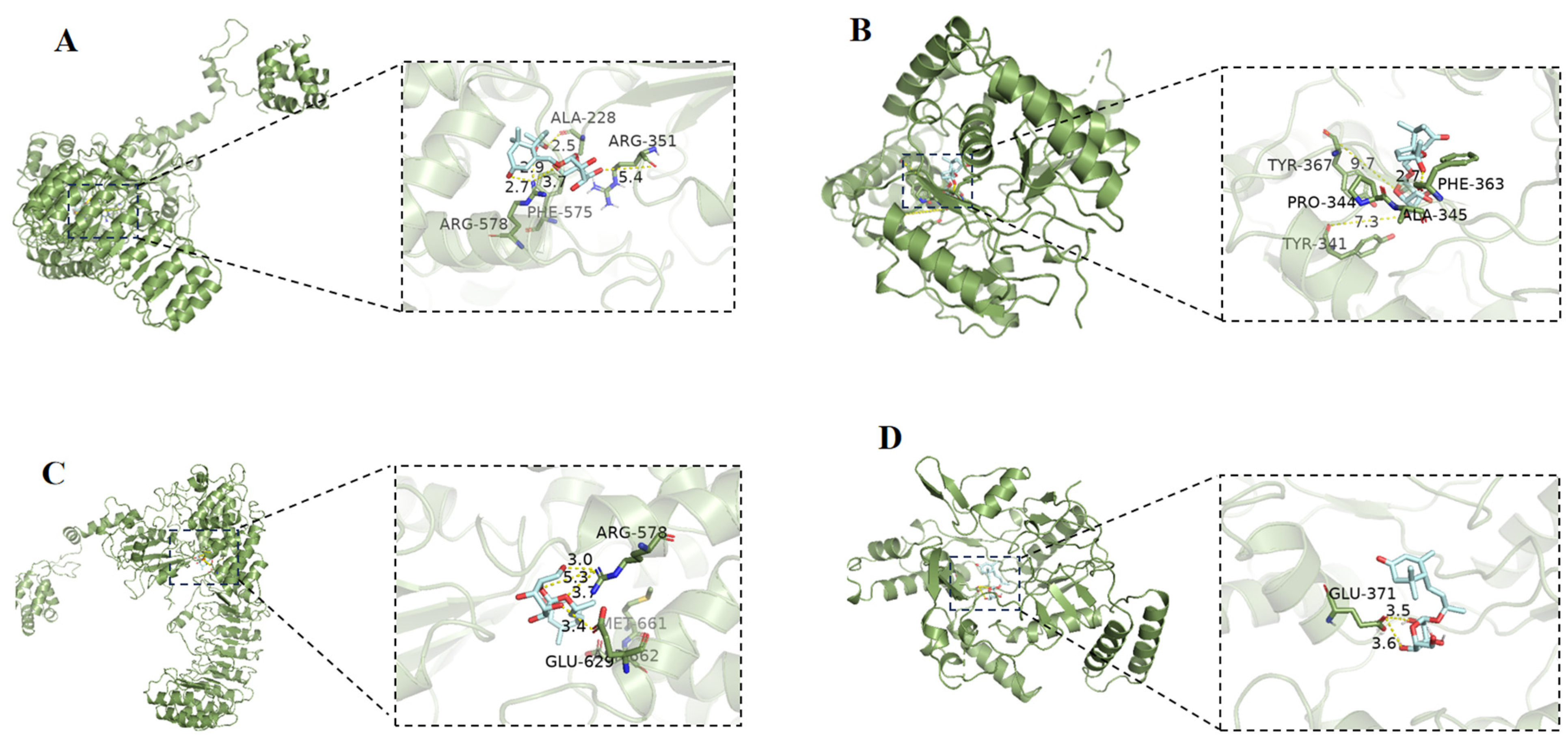 Molecules 29 02462 g007
