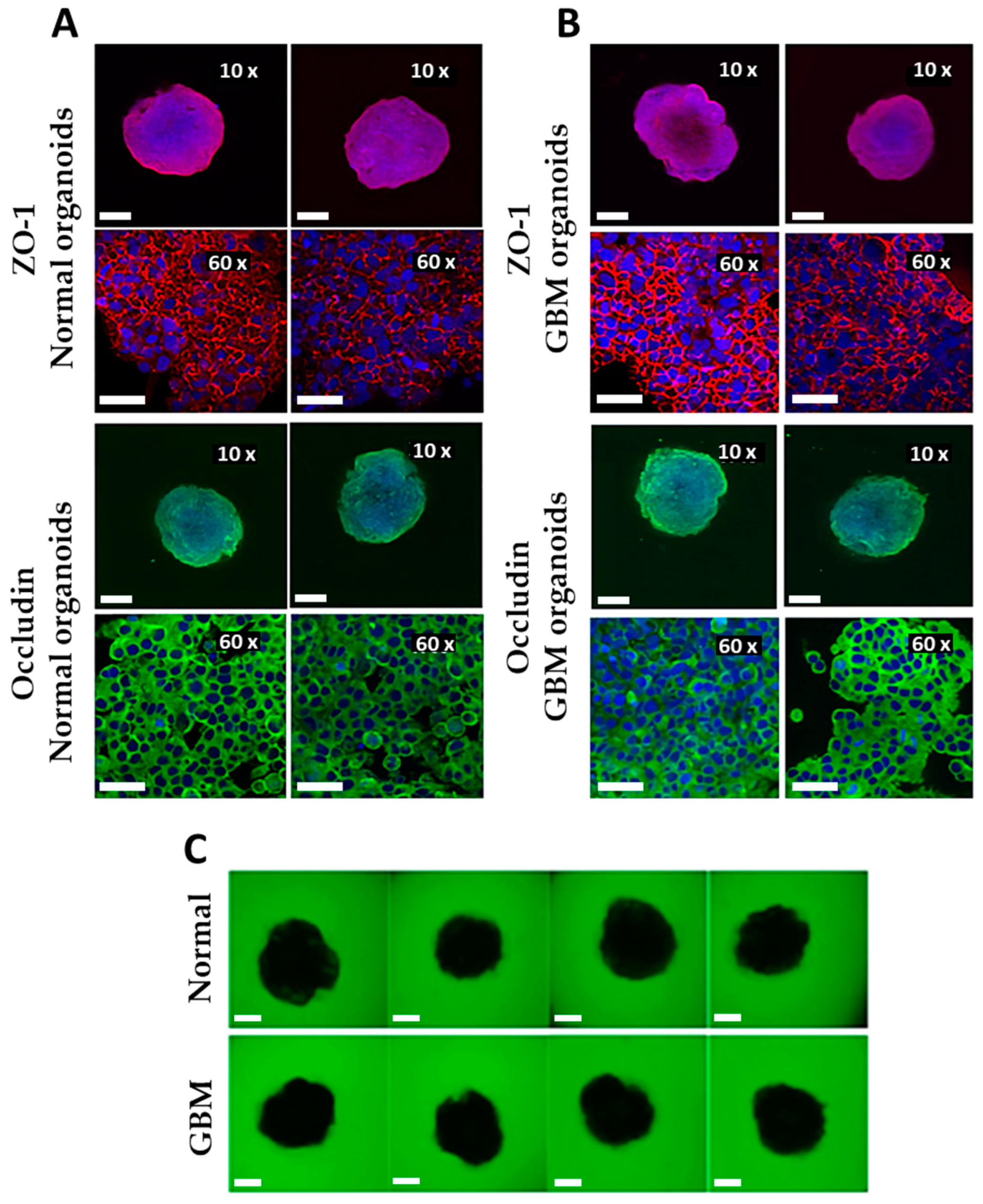 Molecules 29 02469 g005