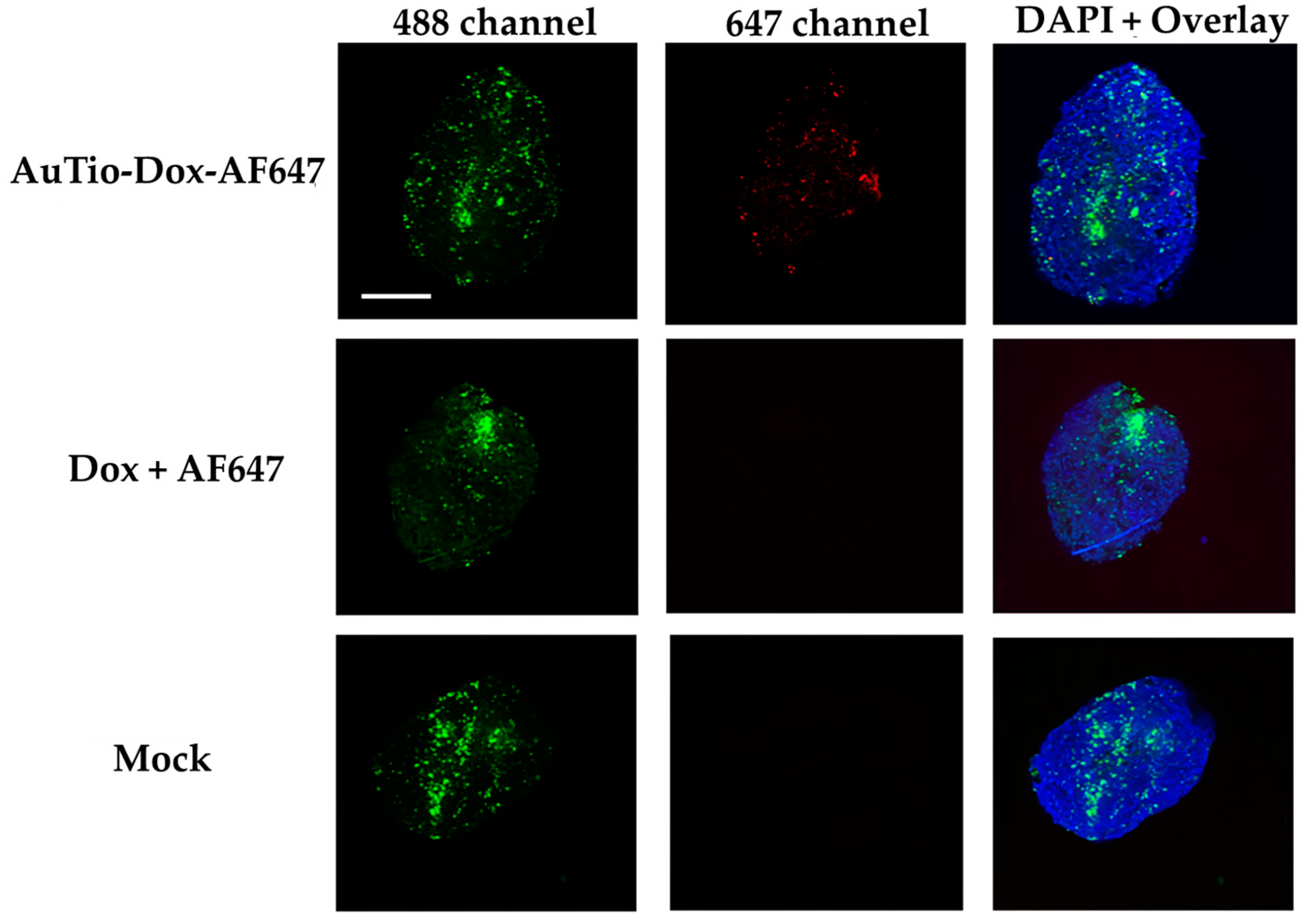 Molecules 29 02469 g008