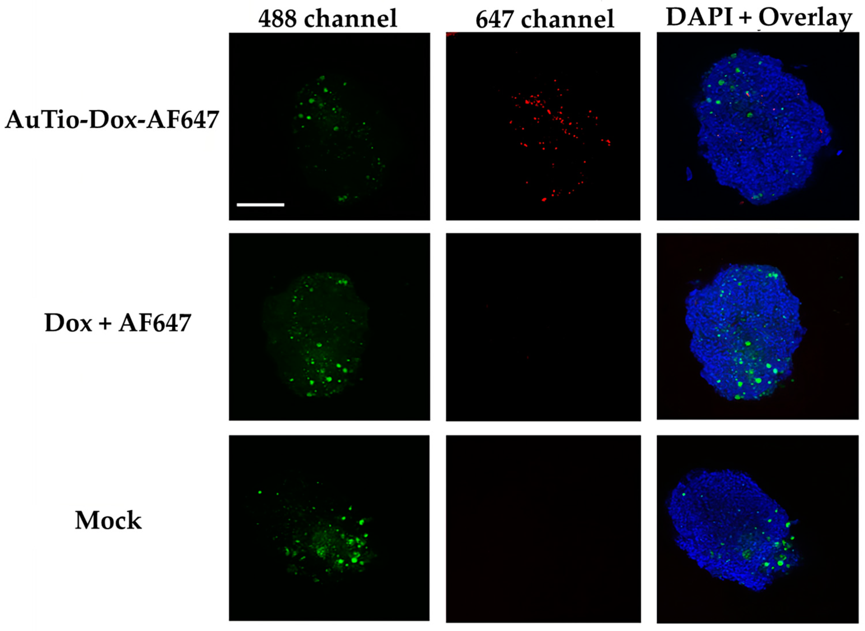 Molecules 29 02469 g009