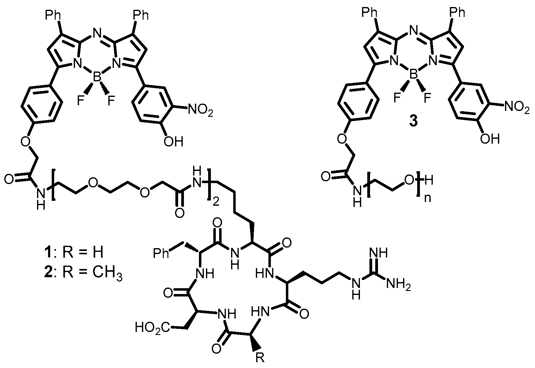 Molecules 29 02474 g002 Molecules 29 02474 g002